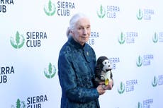 Jane Goodall, 91, reveals secret wish about first marriage