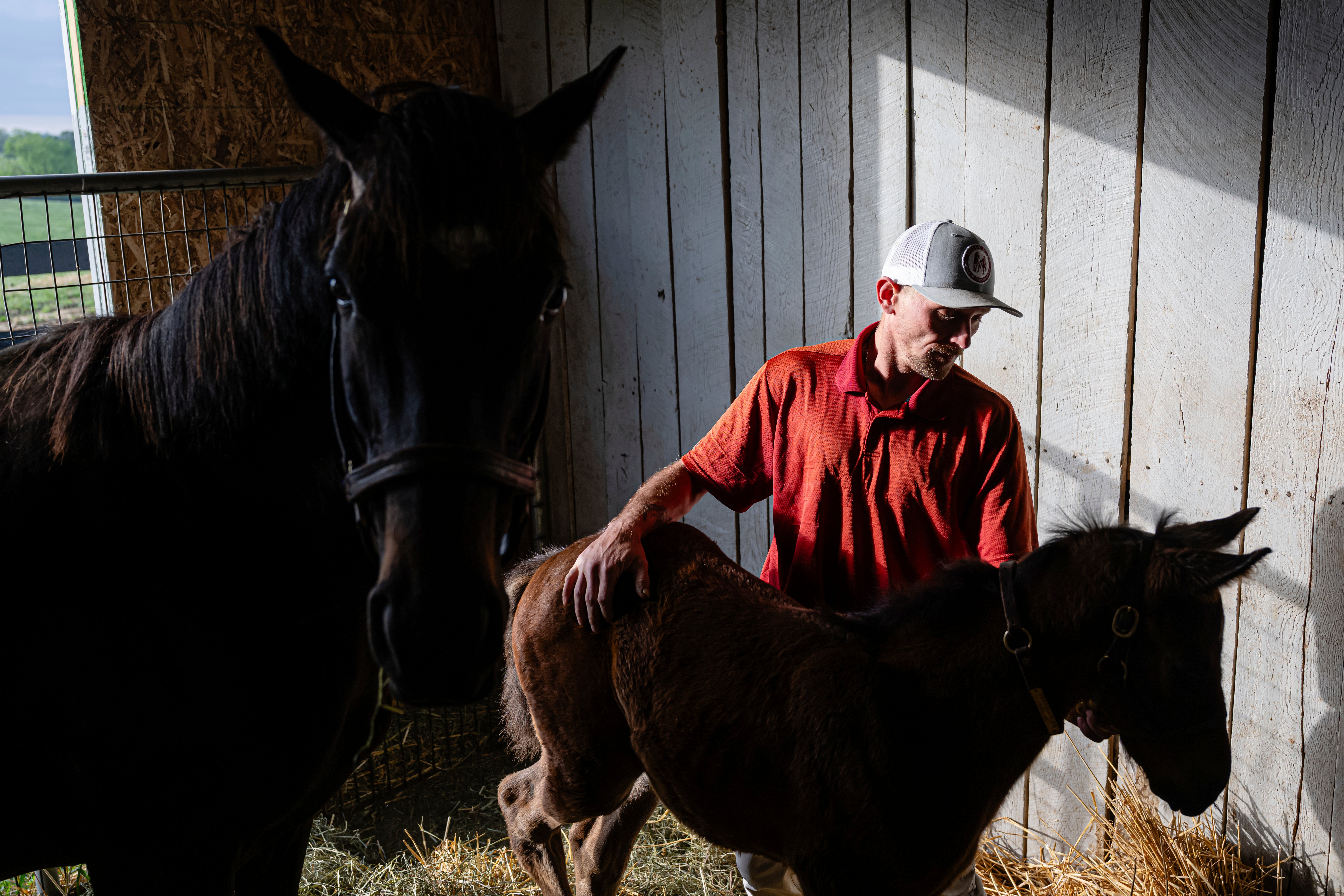 Recovery Through Horses