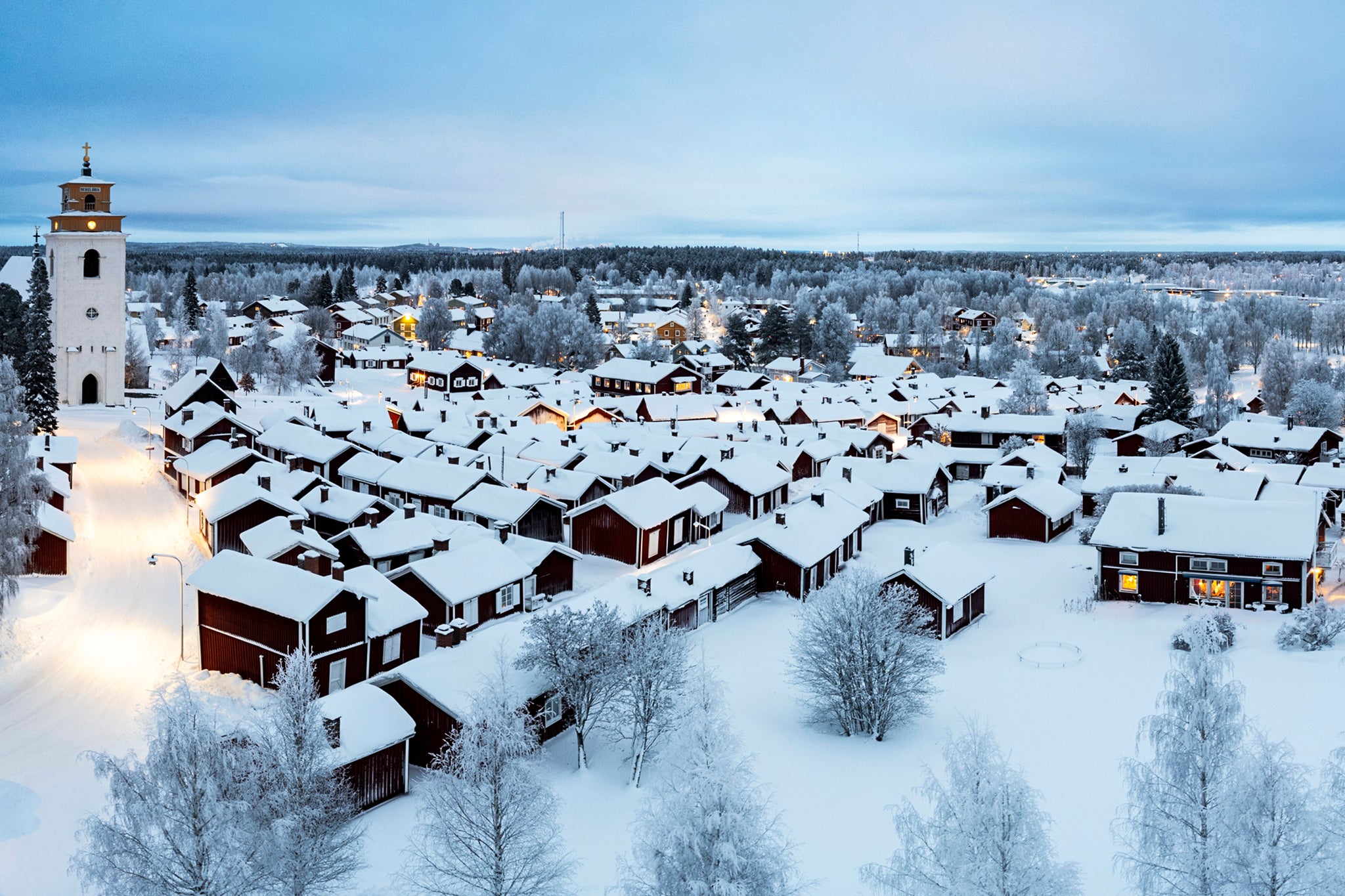 The Arctic adventure so thrilling I forgot to look for the northern lights