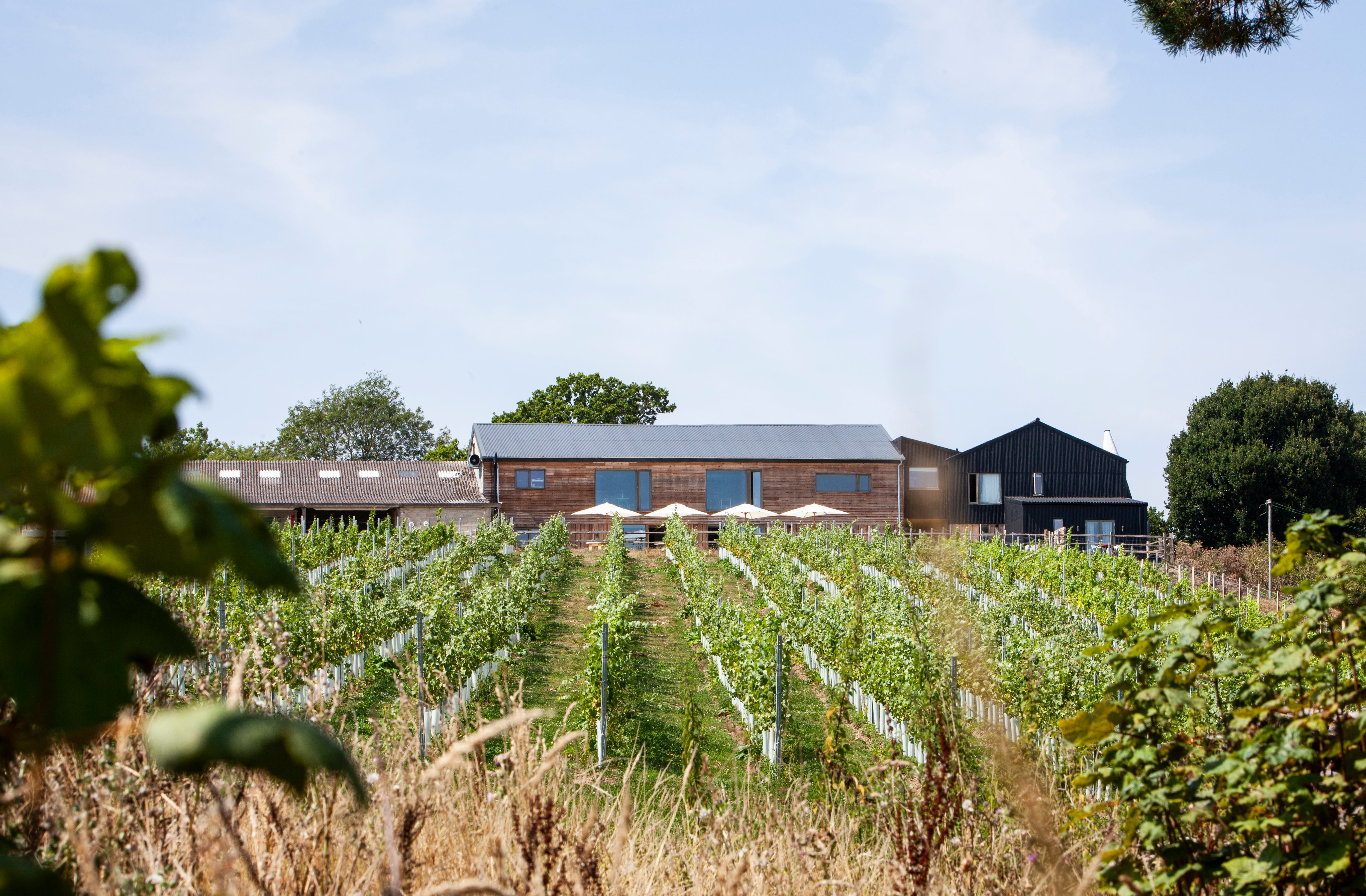 Tillingham Estate Vineyard is just 10 minute's drive from Rye in Sussex