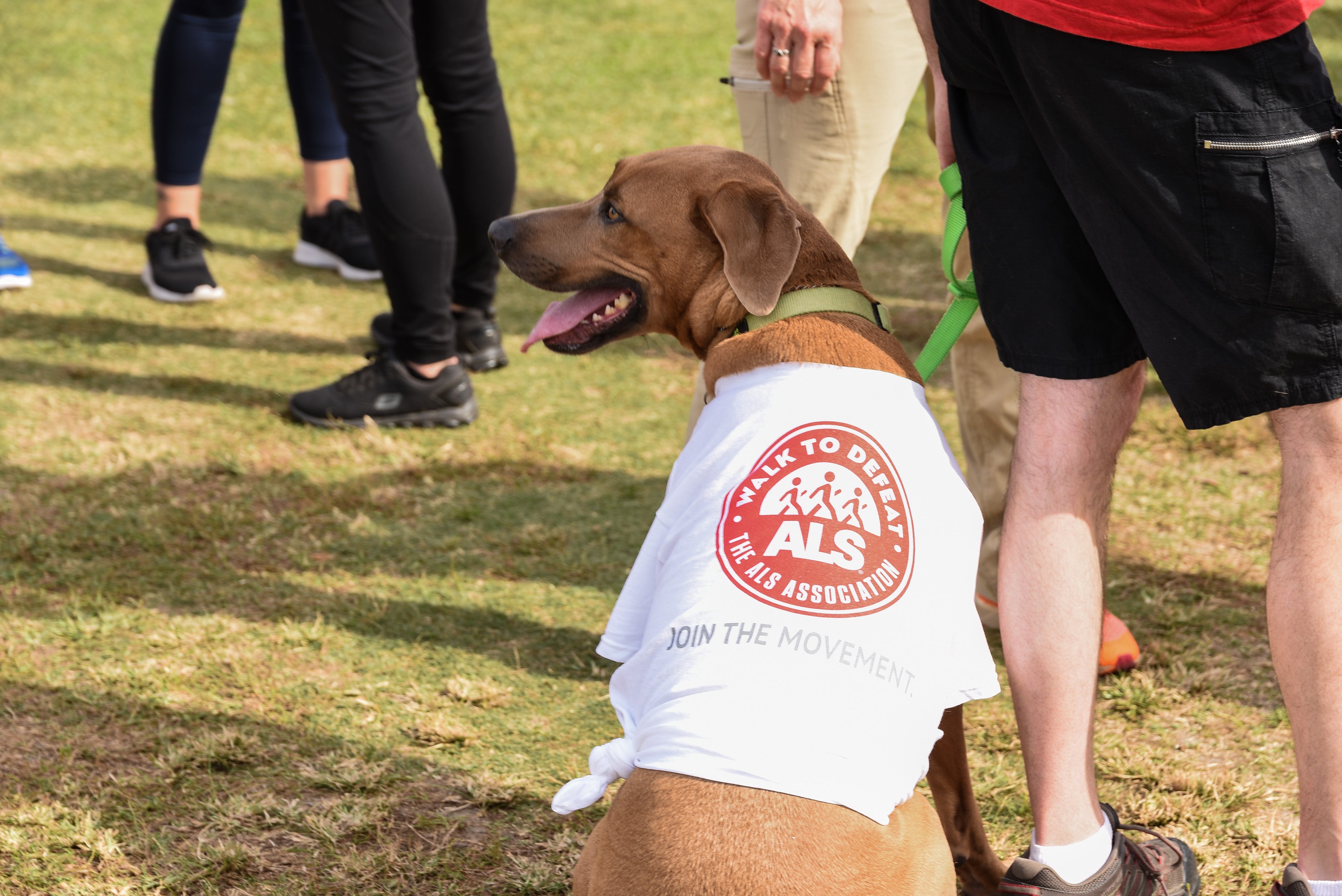 A global clinical trial of ulefnersen is now underway. The drug was first tested six years ago