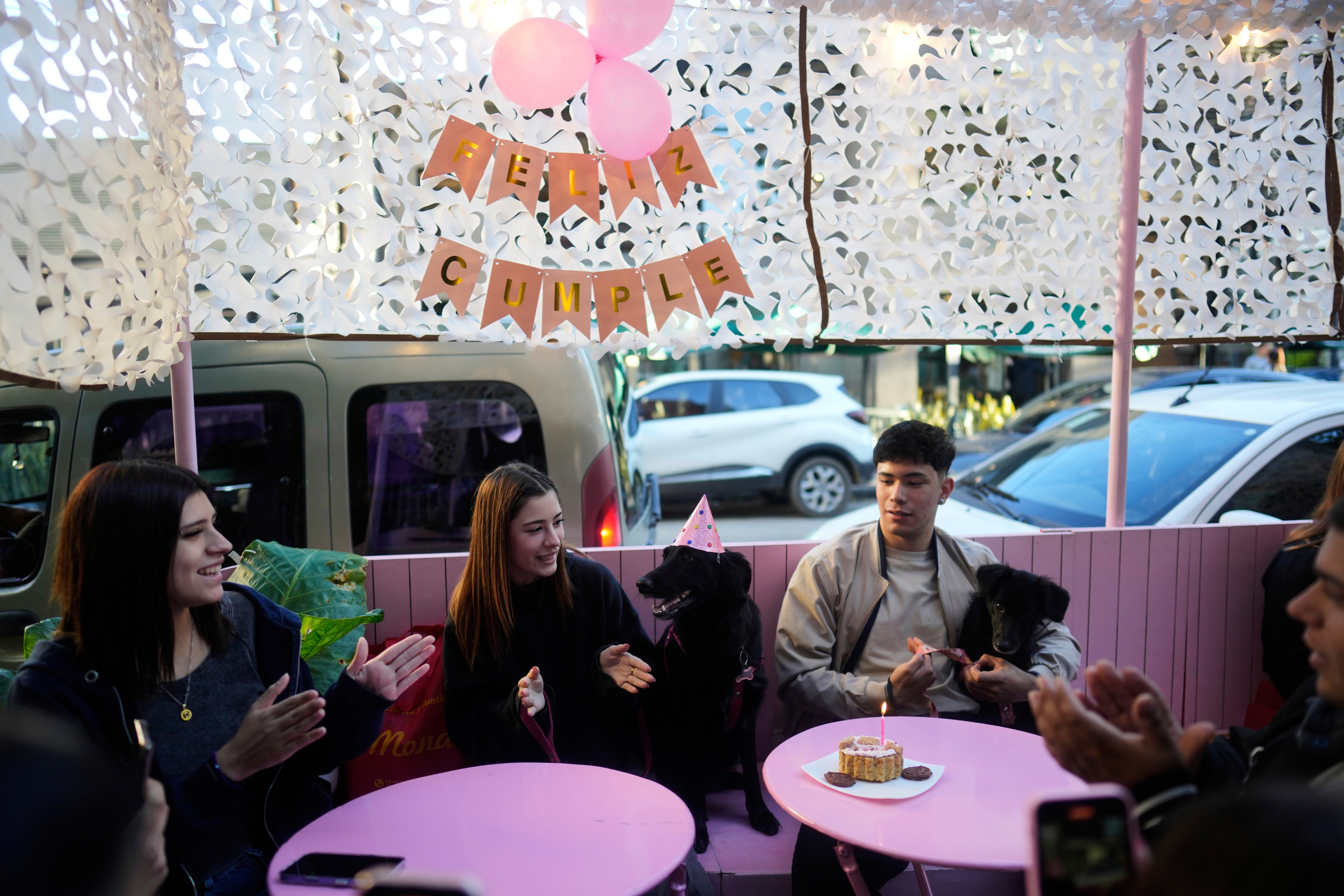 Argentina Dogs Vs. Kids