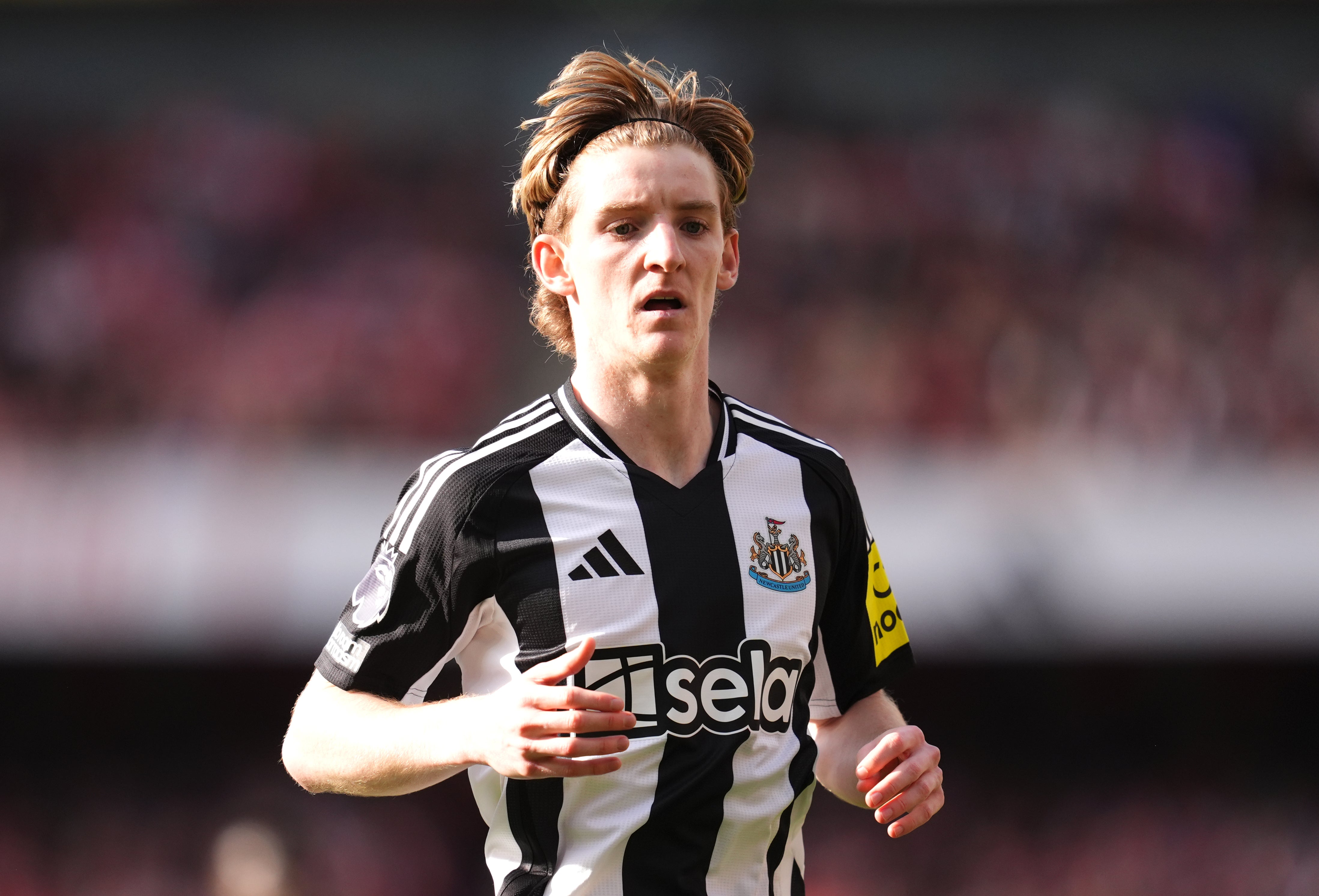 Anthony Gordon could replace Alexander Isak up front if he doesn’t make fitness