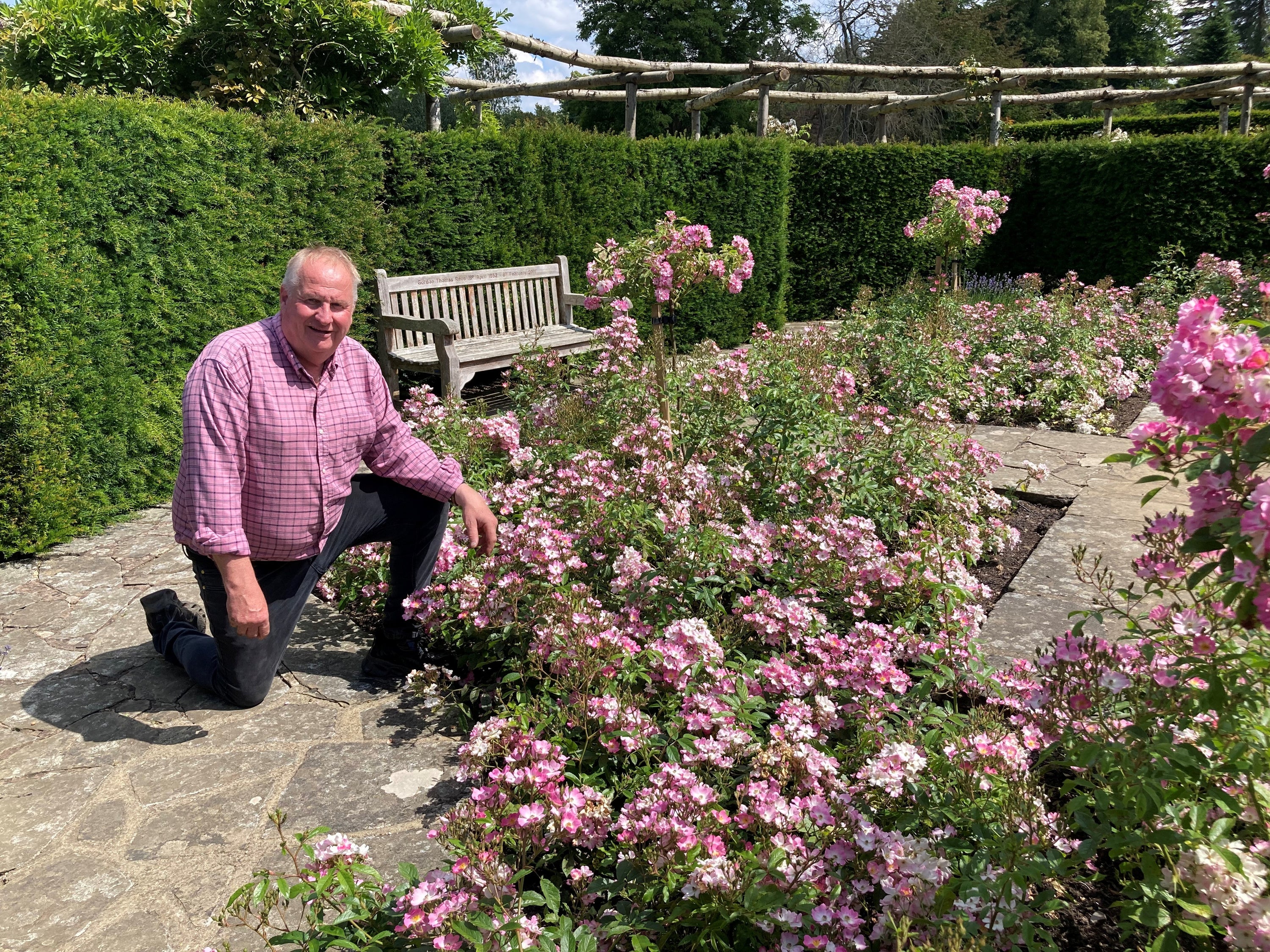 Neil Miller, head gardener at Hever Castle & Gardens