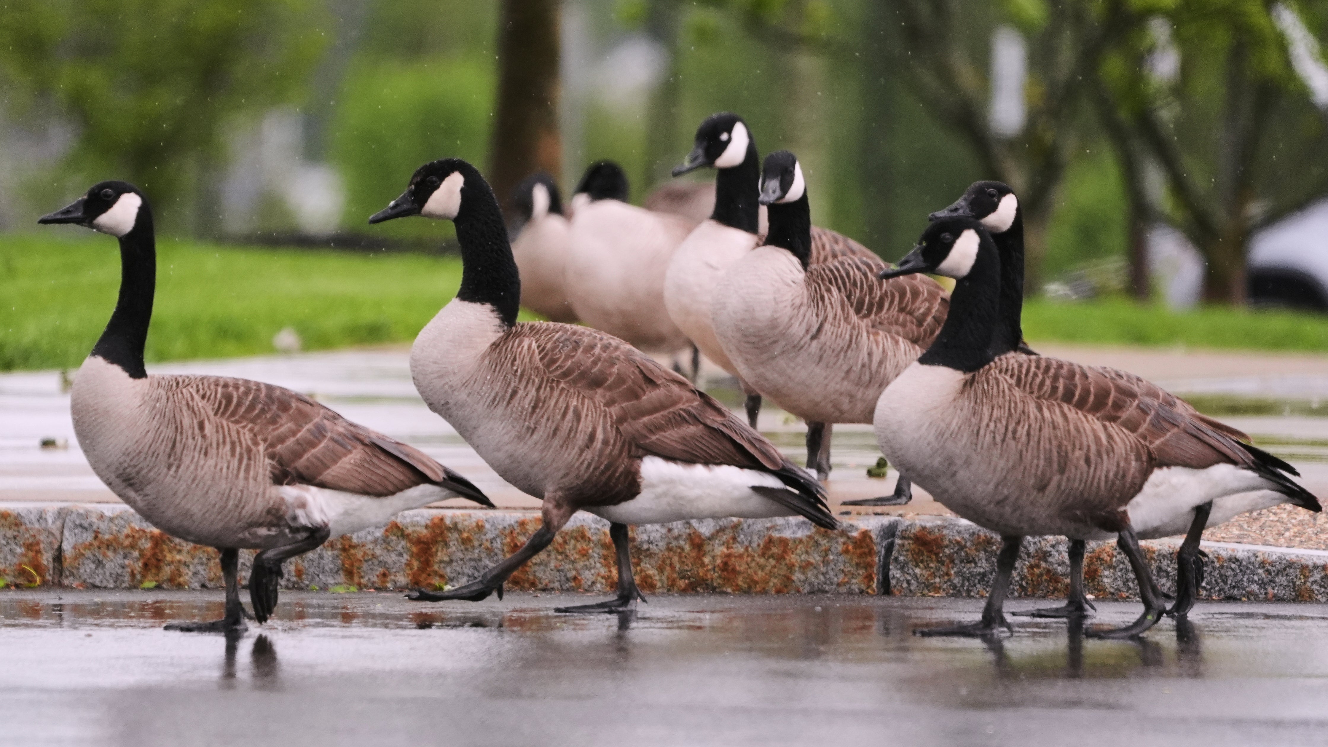 Severe Weather New England
