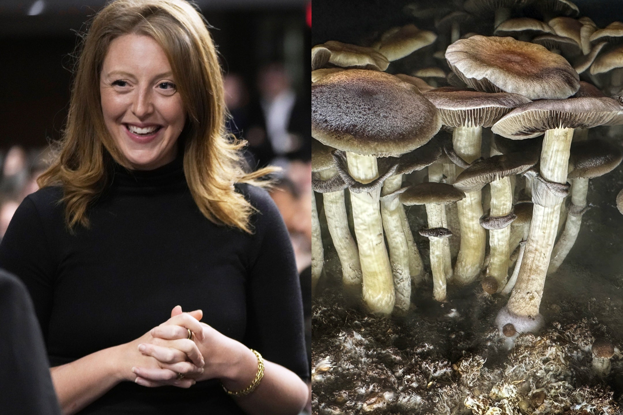 Trump’s Surgeon General pick credits magic mushrooms with helping her find love. Here’s what to know about the psychedelic drug