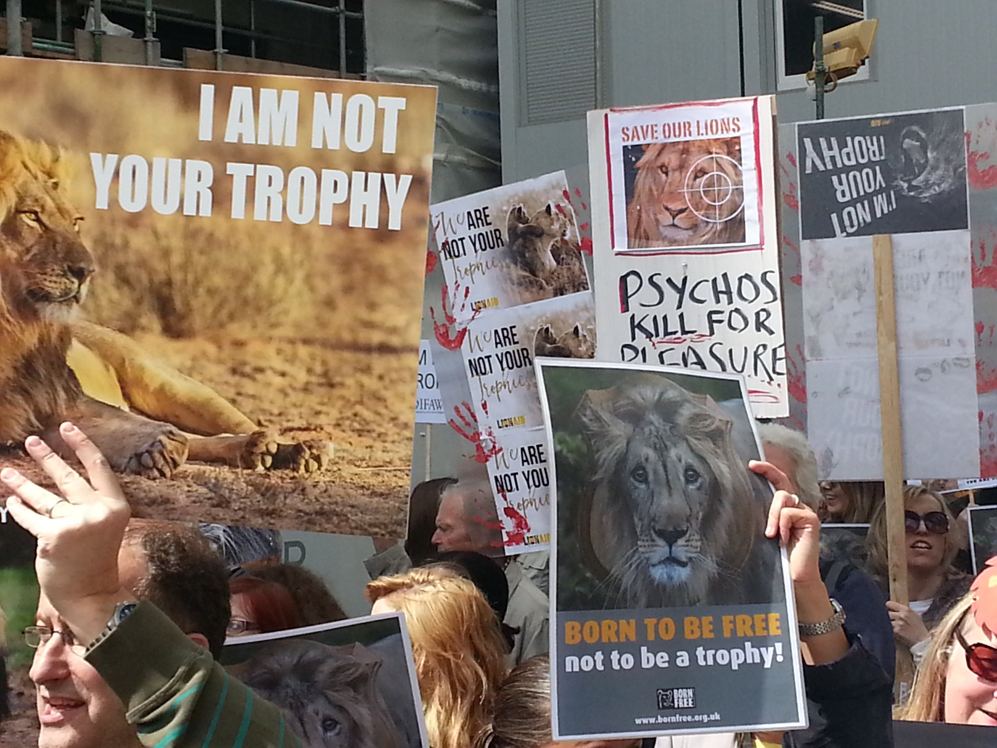 Protests have been staged urging past governments to adopt a ban