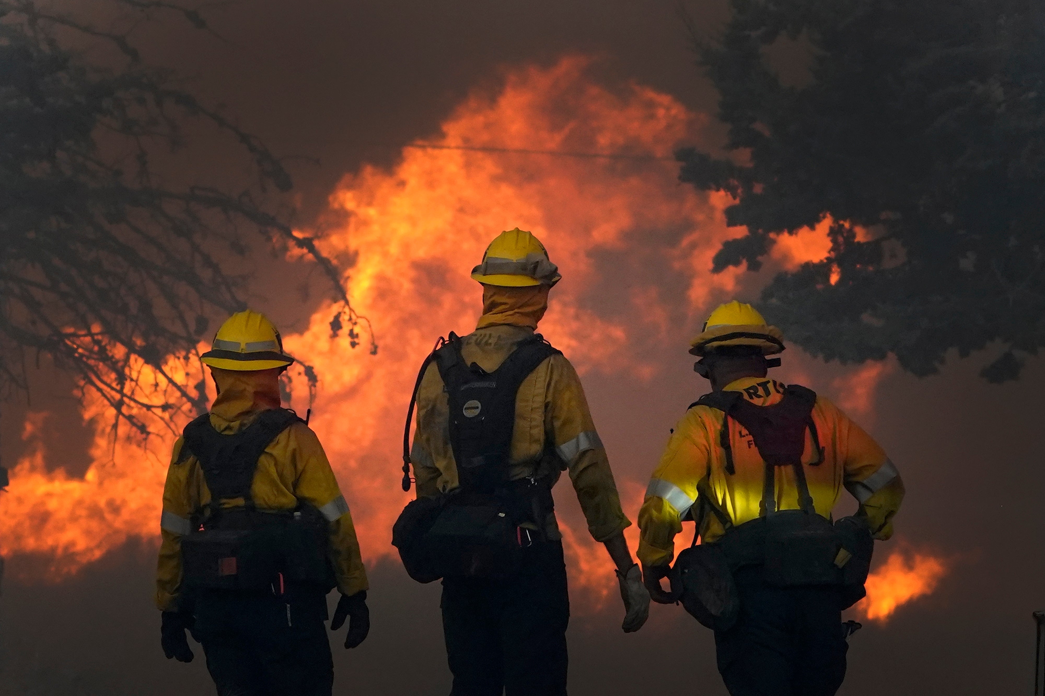 California Wildfire Utility Settlement