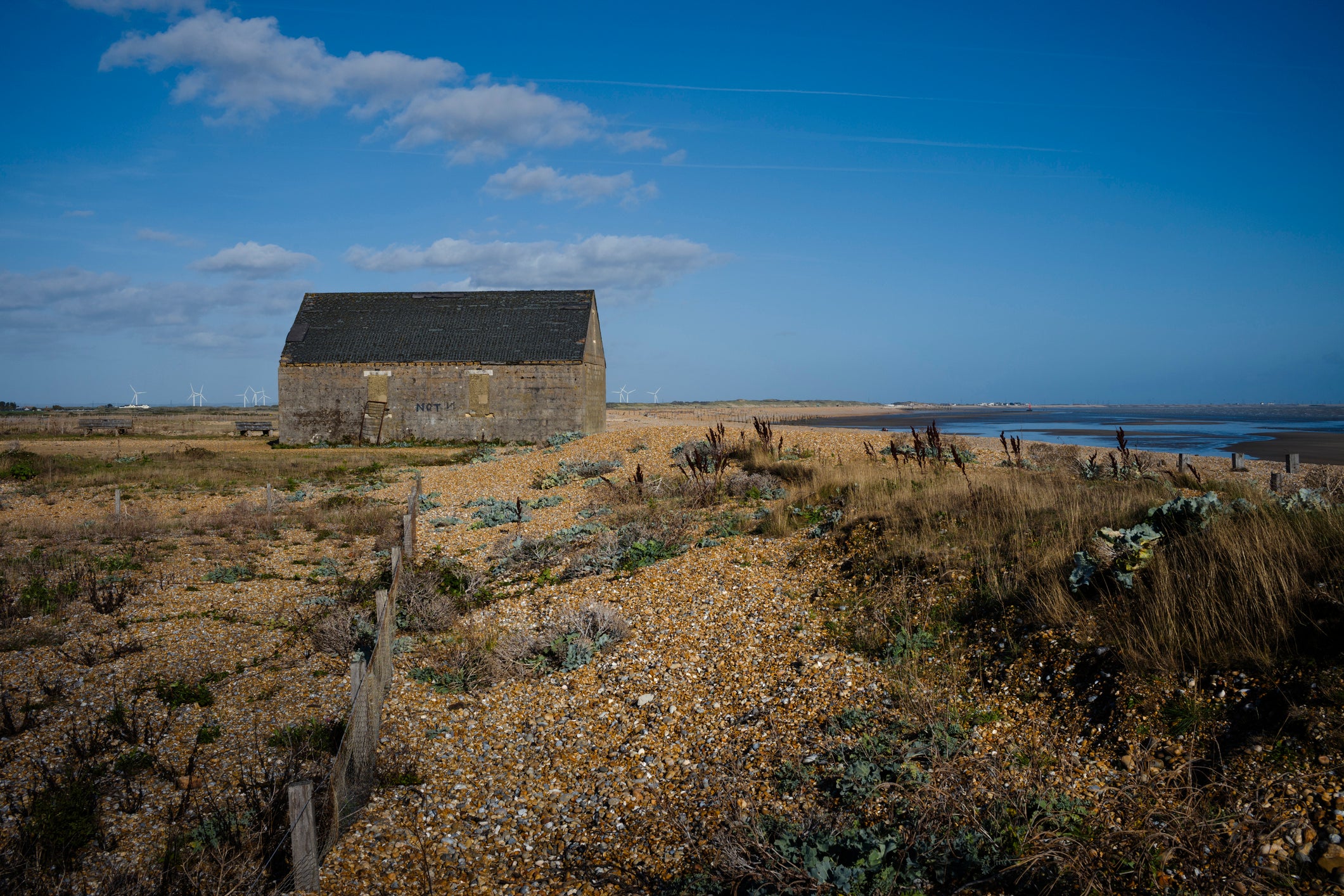 Rye Harbour Nature Reserve is a haven for birds and sits between Rye and the beach at Dungeness