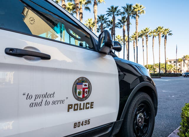 The dog, named Leia, was fatally injured when the intruders encountered her during the early-morning burglary