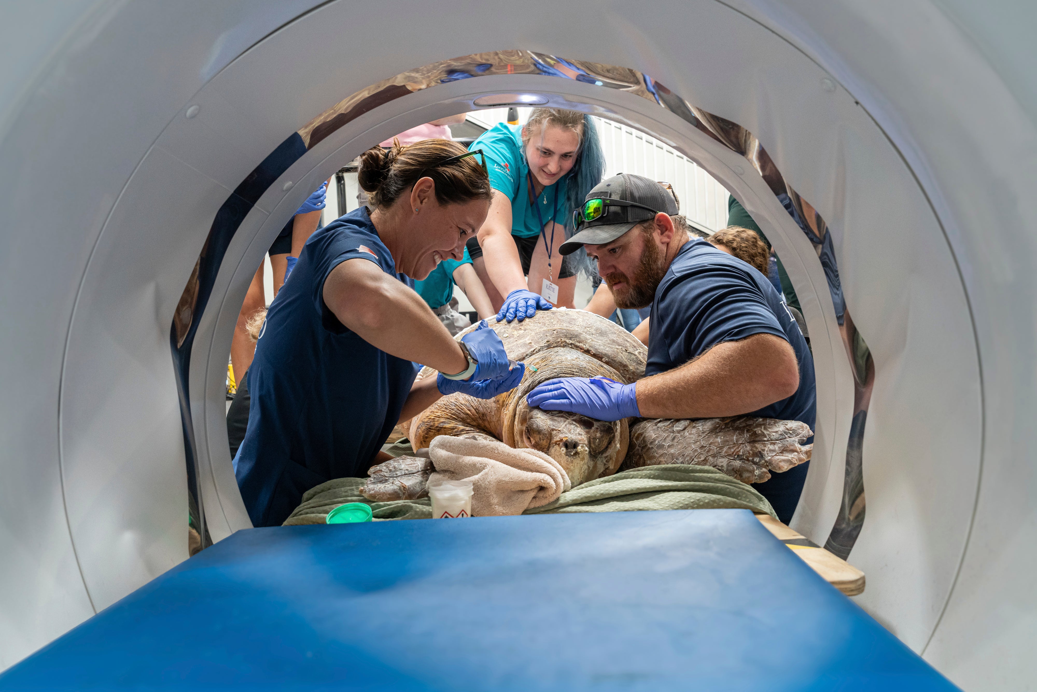 A veterinary team scans the sea turtle named Pennywise at a veterinary center in Wellington, Florida, on May 21