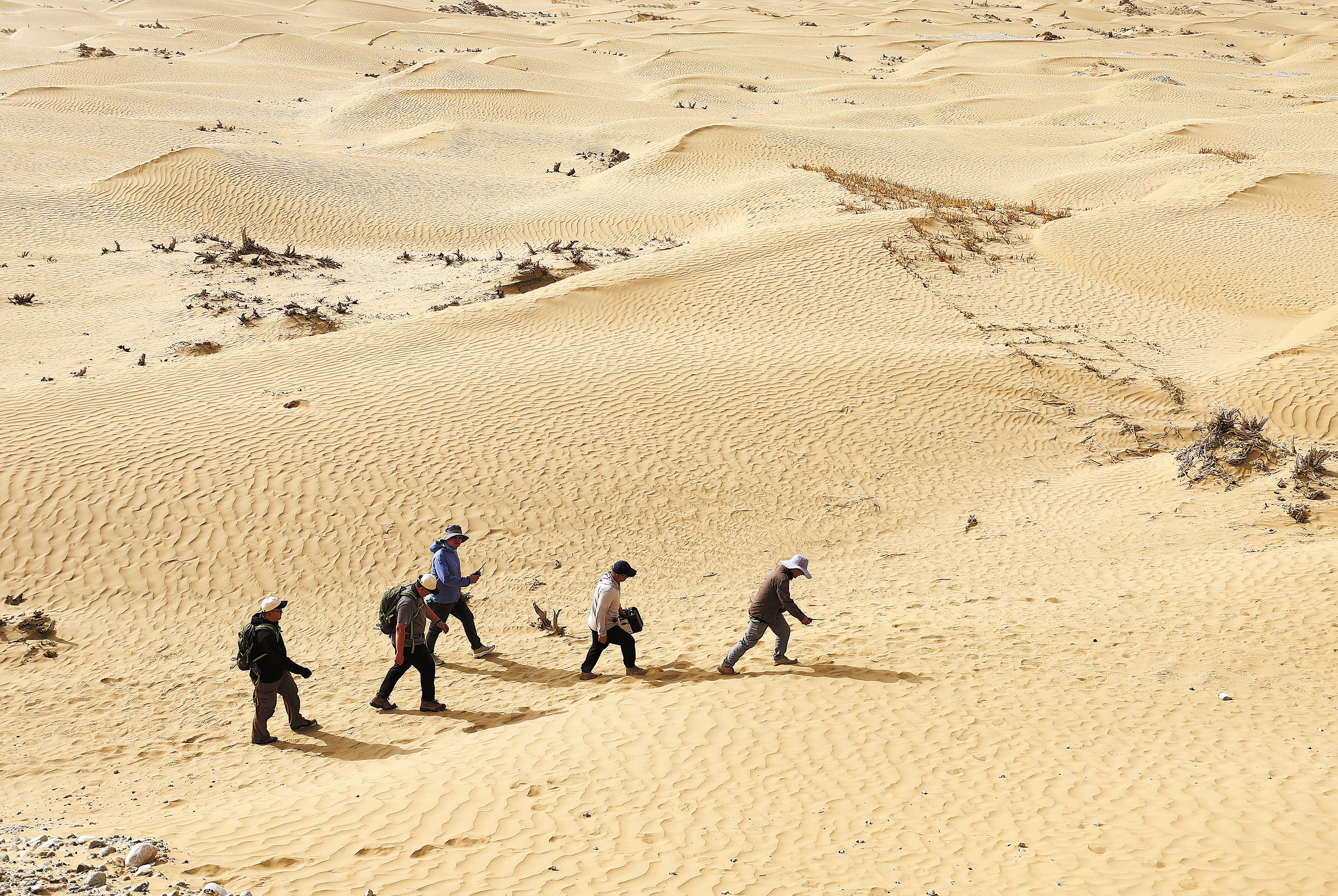 Members of the desert investigation team of the fourth national census of cultural relics hike in the Taklamakan Desert, Xinjiang Uygur autonomous region