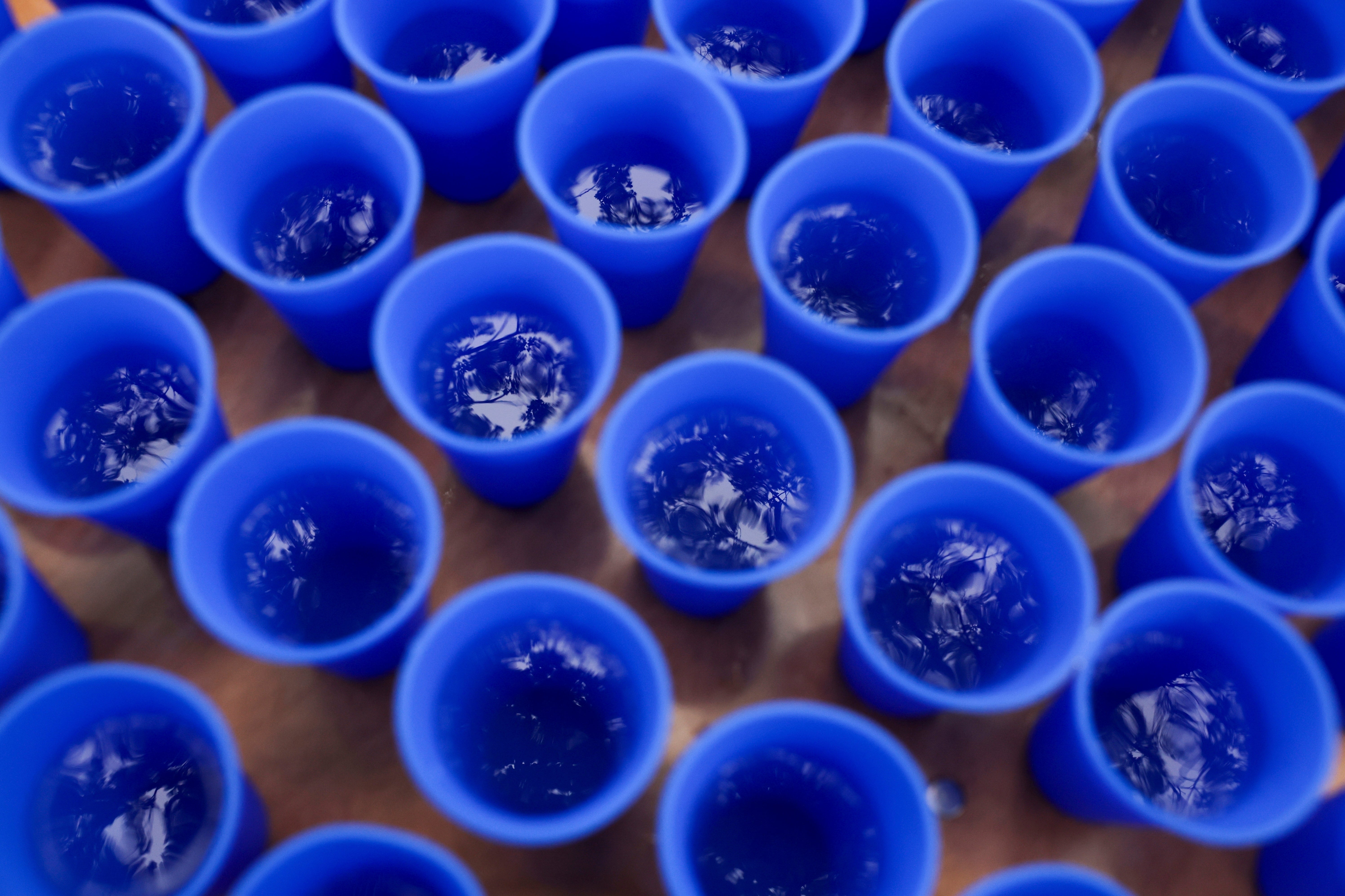 Climate Running Sustainable Cup