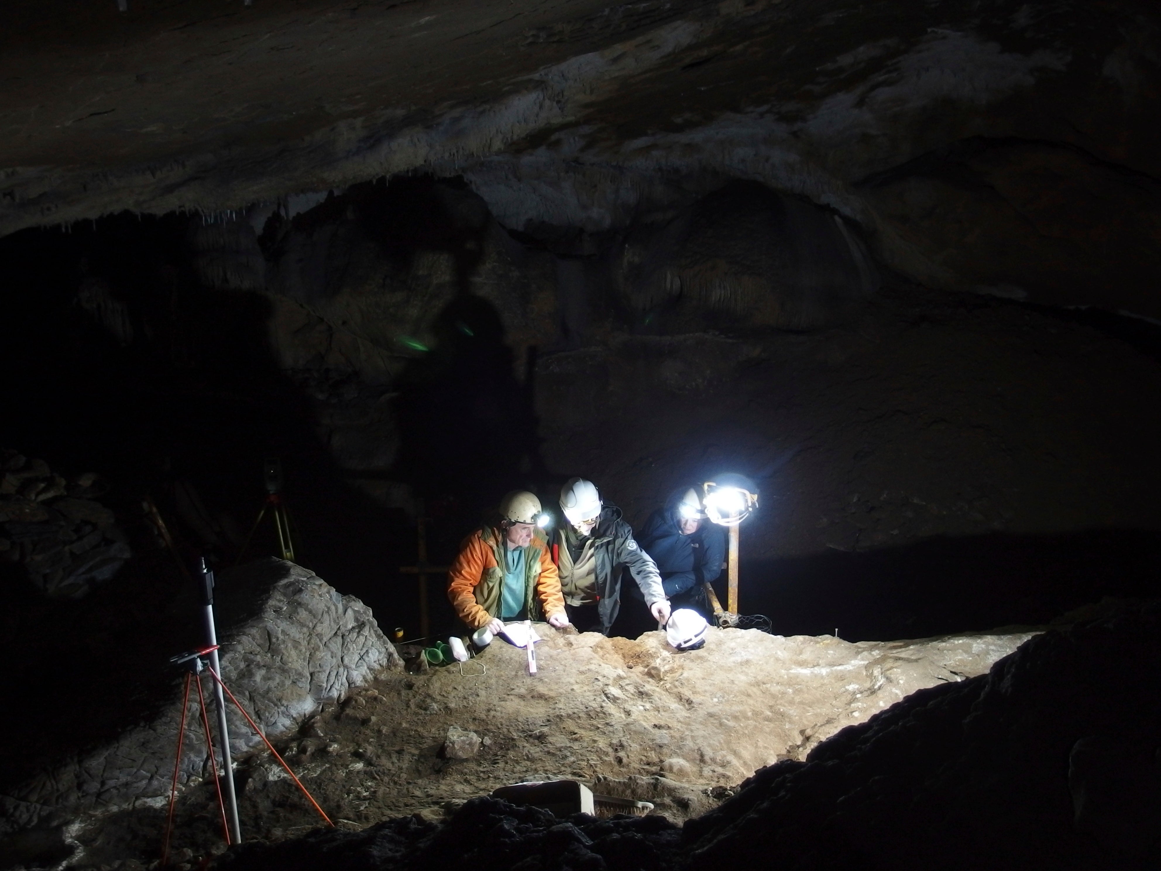 An excavation, in which several dozen whale bone objects were discovered