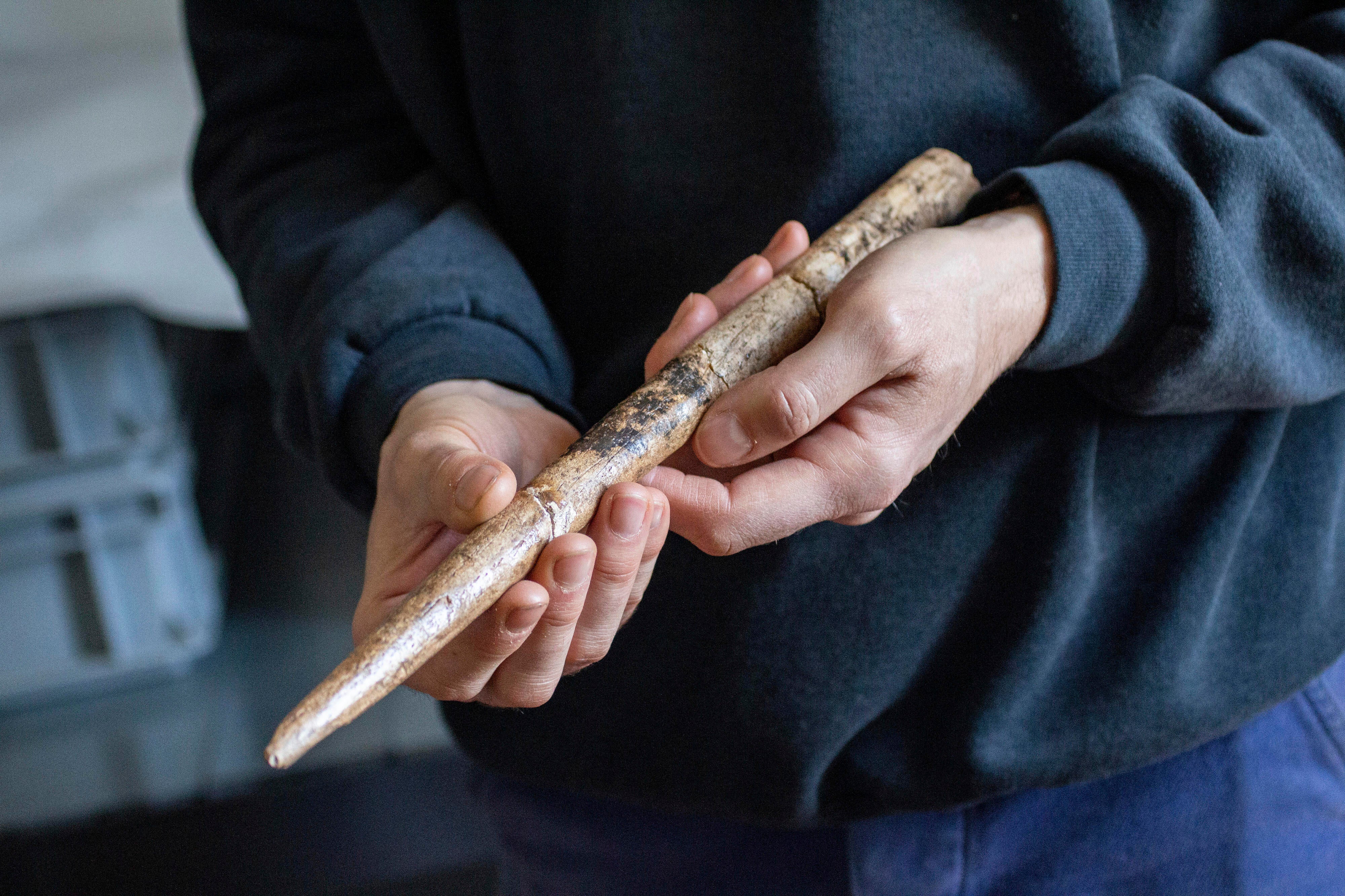 This image provided by Alexandre Lefebvre shows a projectile made from gray whale bone, dating back to about 18,000 years ago, in Abbaye d'Arthous, France, in March 2021. (Alexandre Lefebvre via AP)