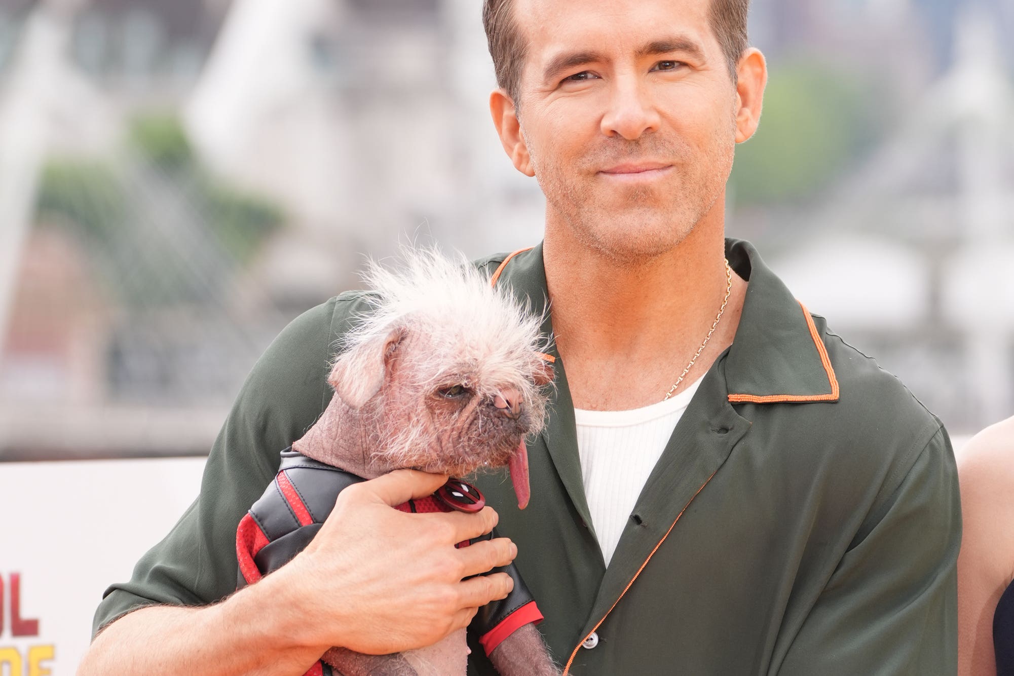 Ryan Reynolds, holding Peggy, a pug and Chinese crested cross which played Dogpool (Ian West/PA)