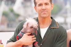 Ryan Reynolds promises to ‘get down in the mud’ in new nature documentary