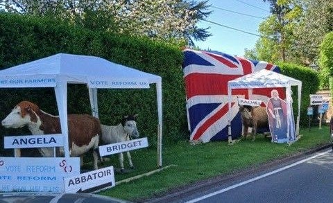 Reform local election stunt depicting leading female cabinet ministers as cows in an abattoir