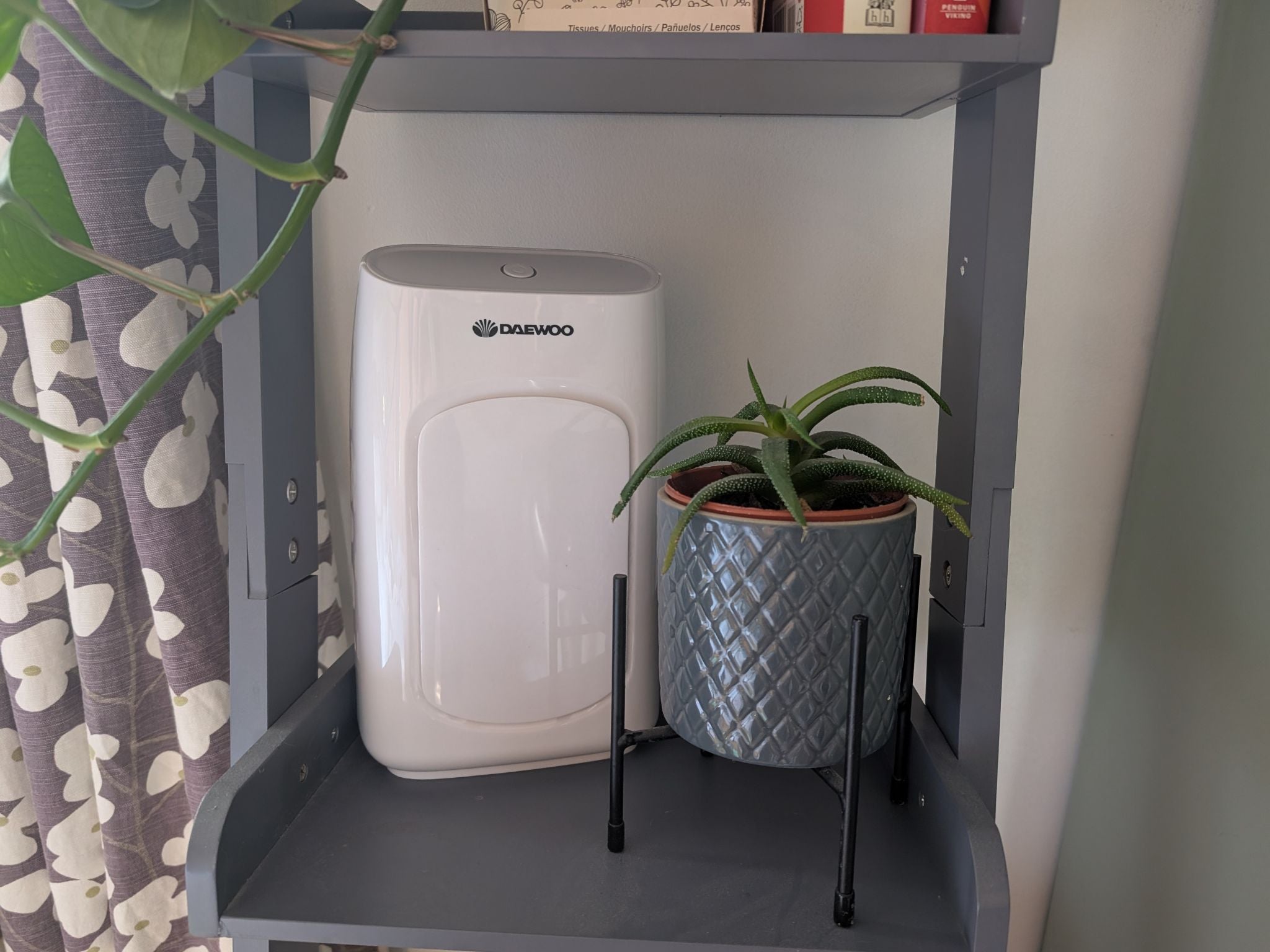 Testing the Daewoo 700ml dehumidifier on a shelf next to a houseplant