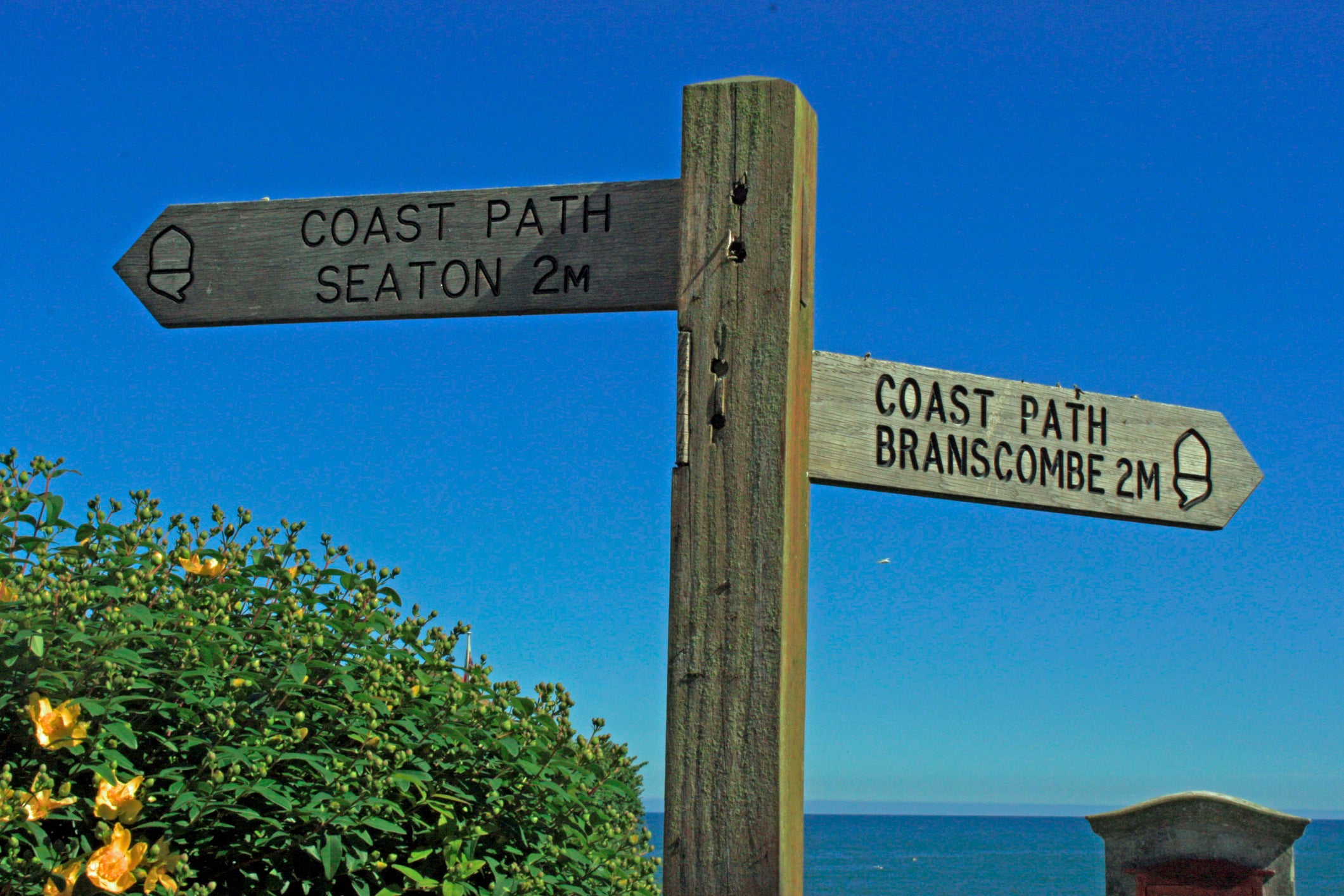 From the beach at Branscombe, it's about 4.5 miles to Beer