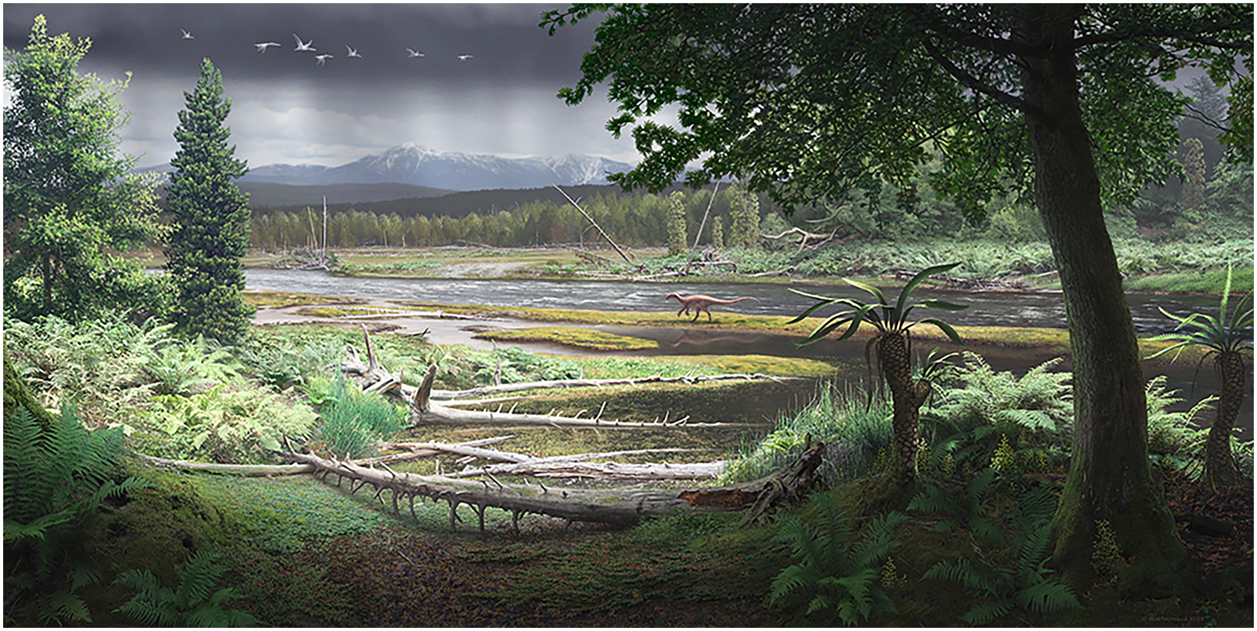 A reconstruction of cool-temperate rainforest and fluvial environments in southeast Australian during the late Albian