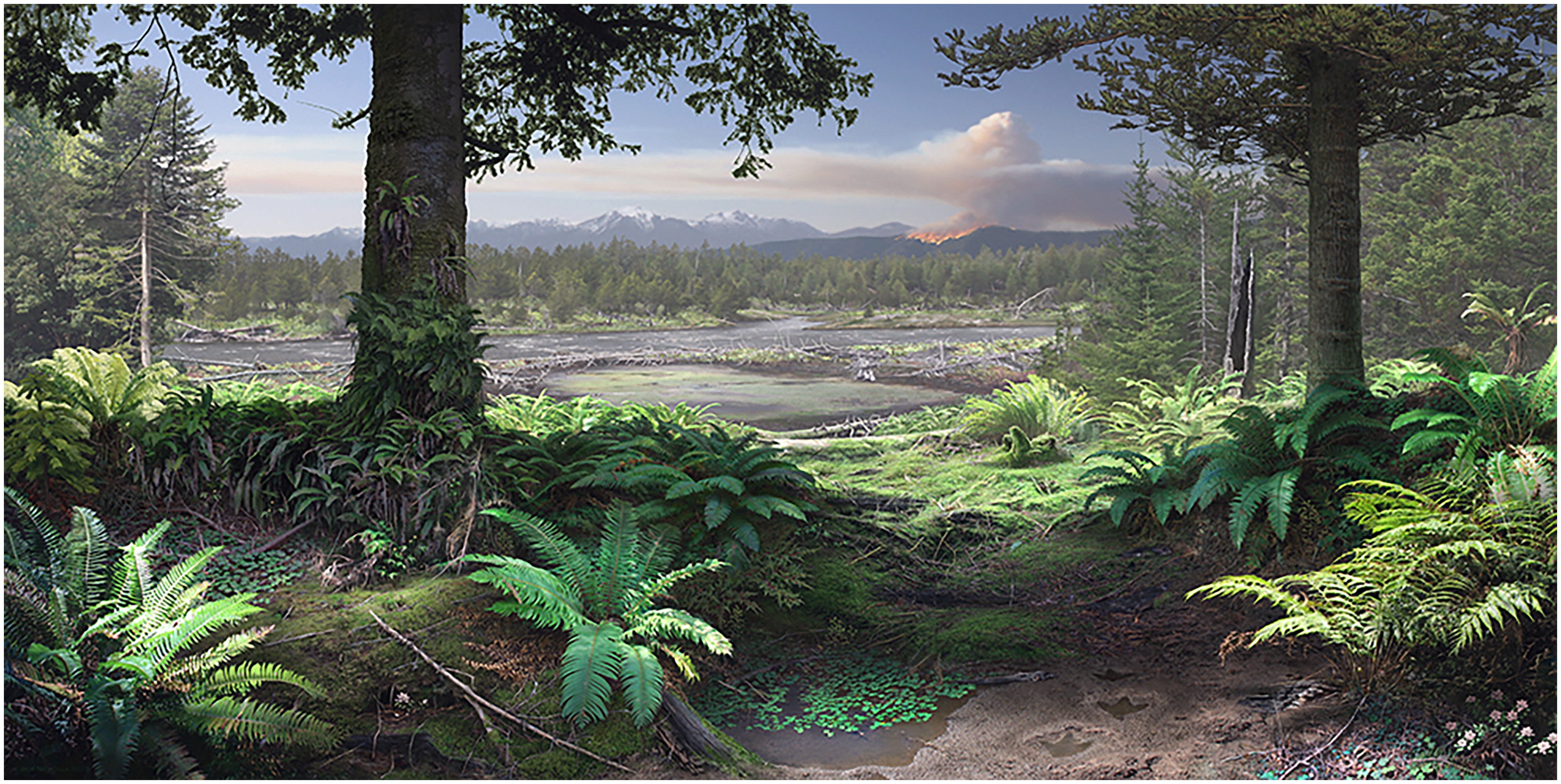 A reconstruction of cool-temperate rainforest and fluvial environments in southeast Australian during the late Albian