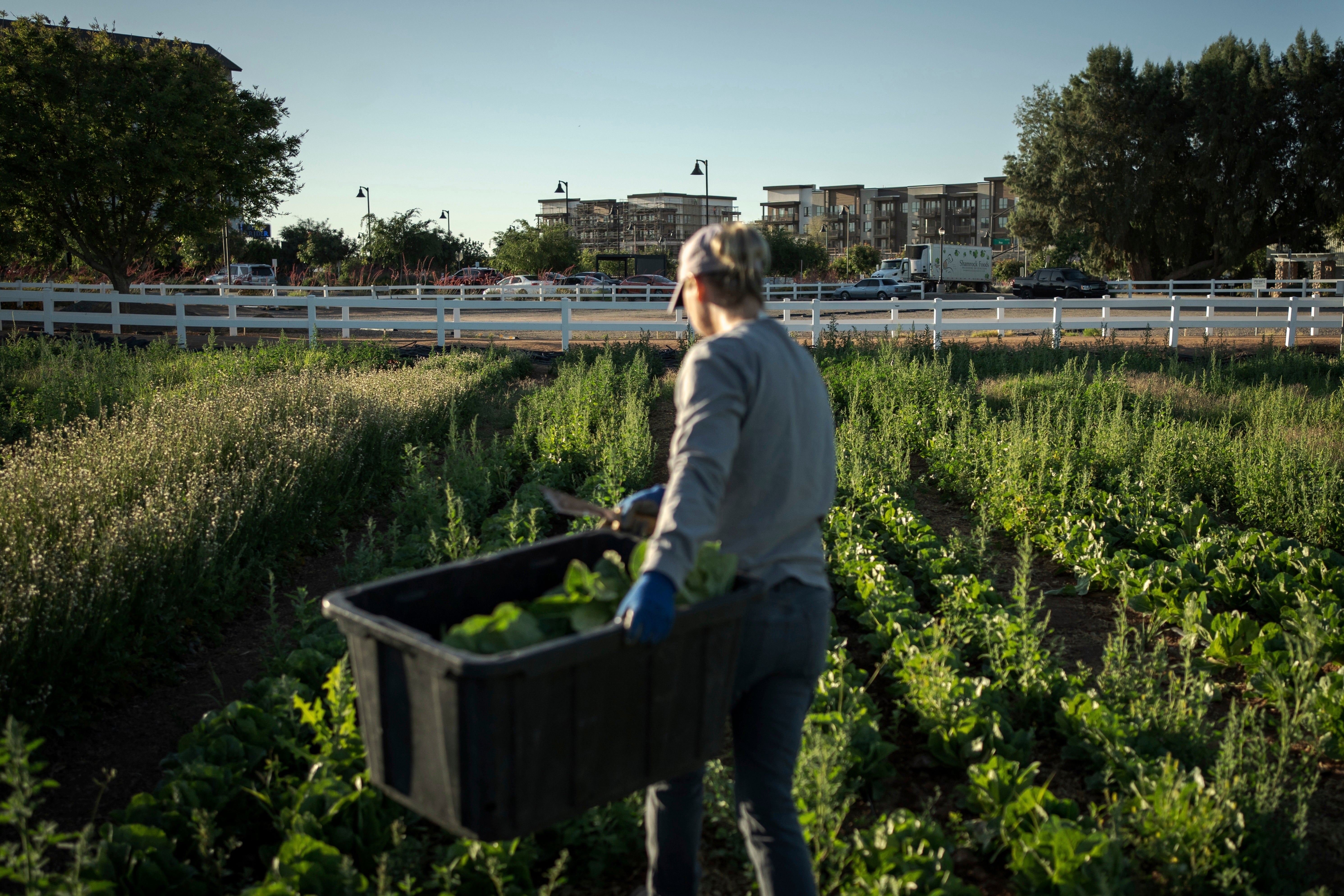Climate Agritopia Agricultural Community