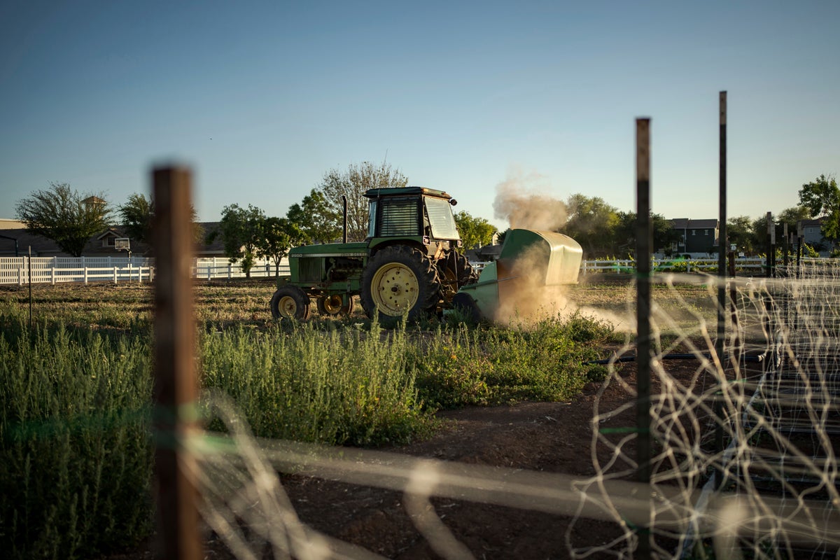 US farmers face fertilizer price crisis as Iran war disrupts global supply