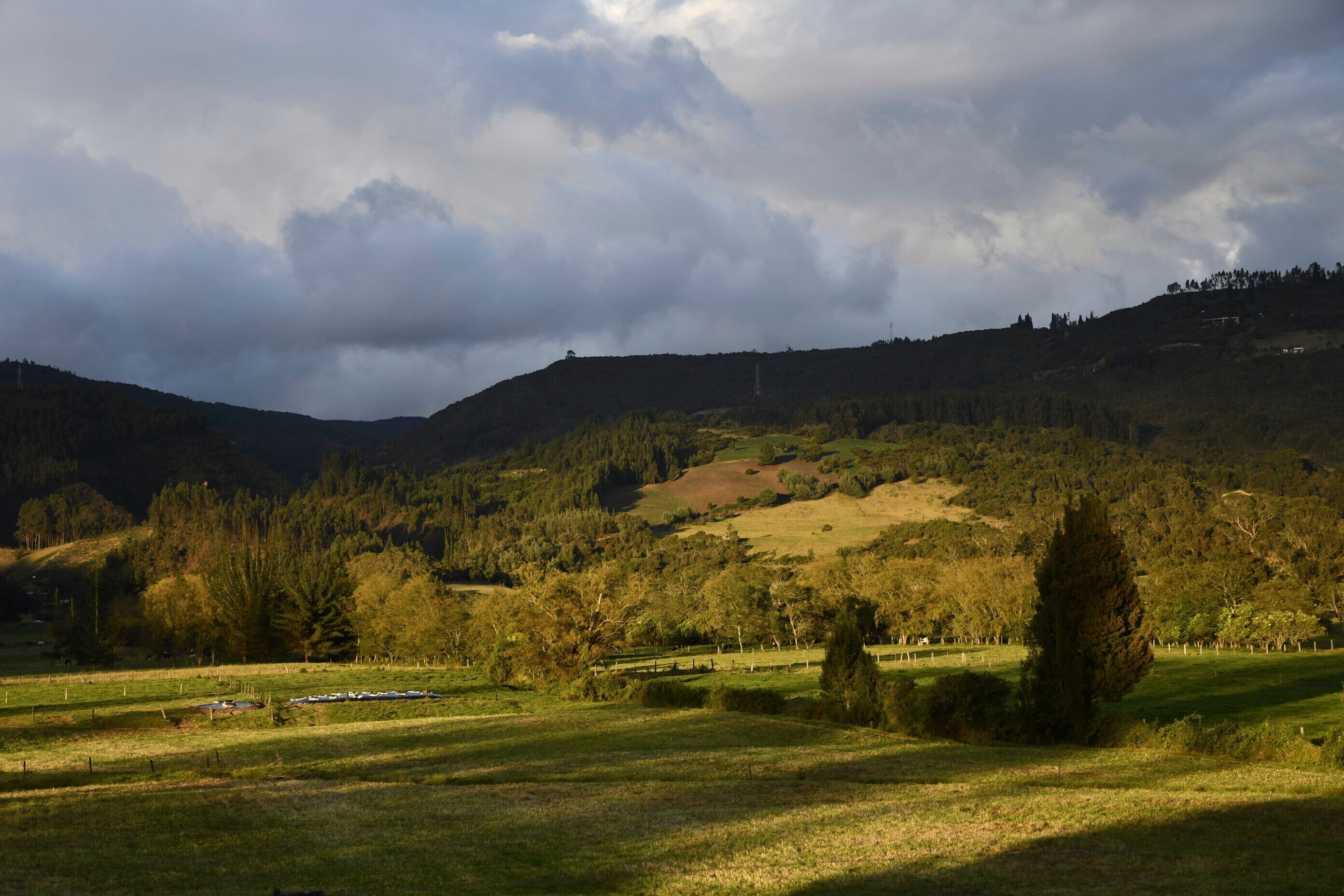 New Hunter Gatherers