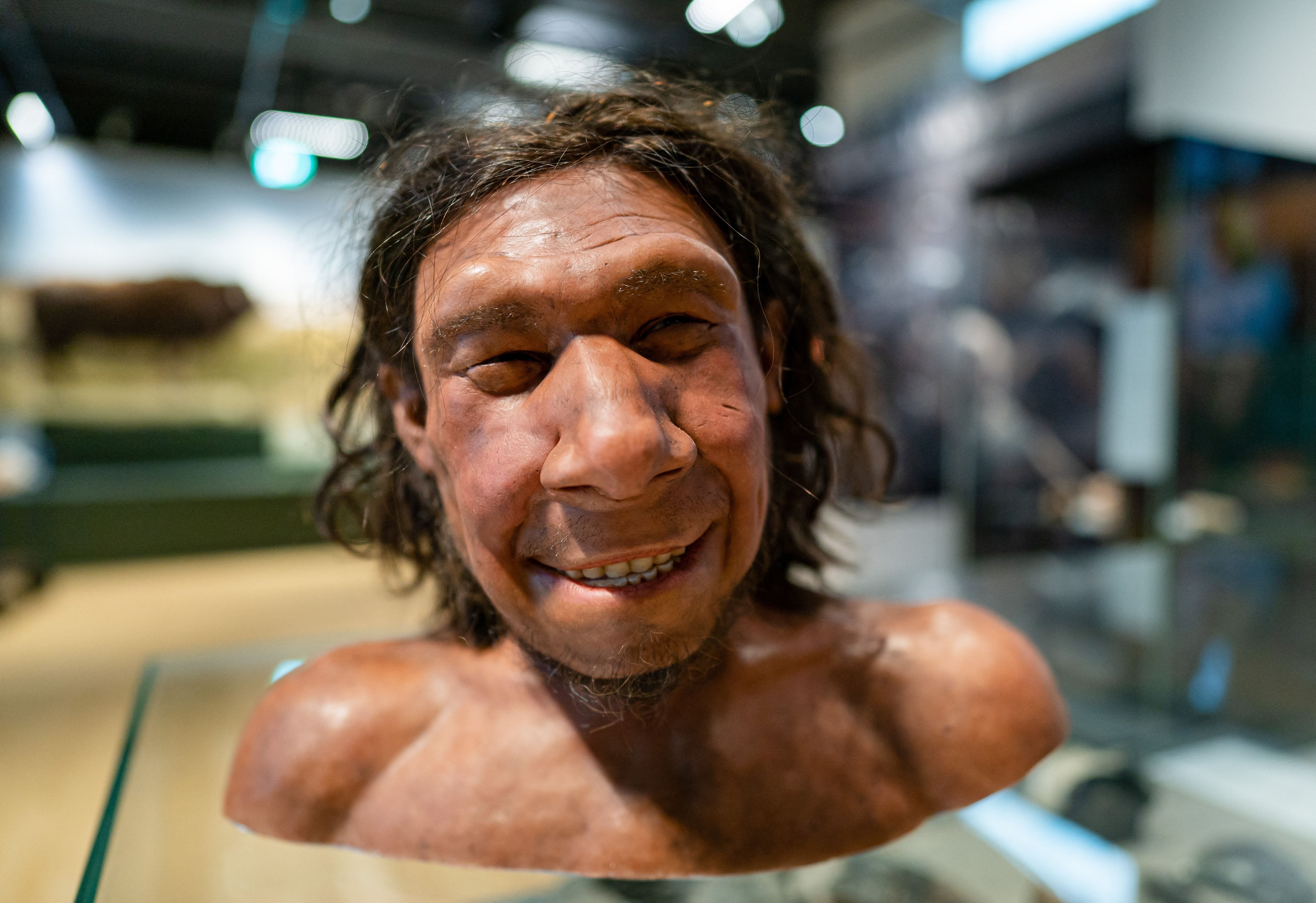 A reconstruction of the face of the oldest Neanderthal found in the Netherlands, nicknamed Krijn, on display at the National Museum of Antiquities in Leiden in 2021
