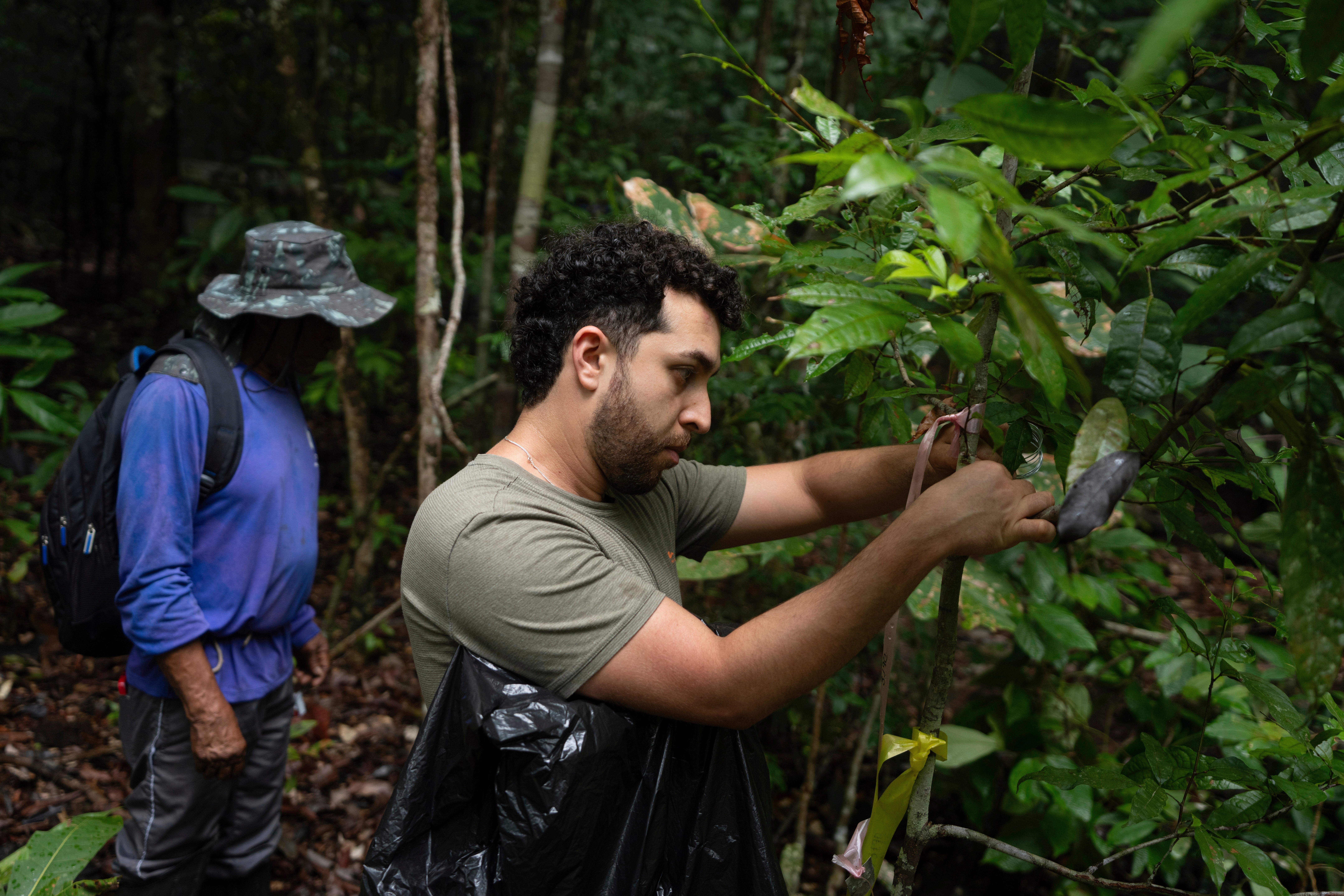 University of Exeter researcher Mateus Cardoso Silva works in the forest