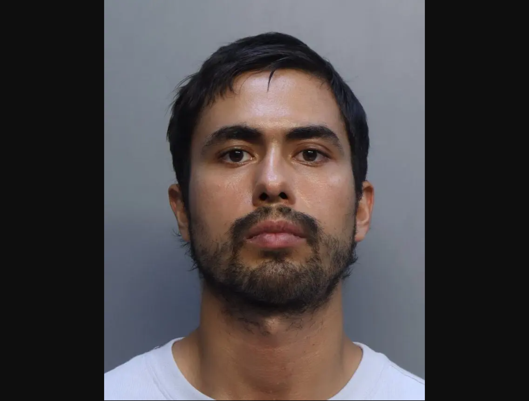 Cameron McDougall, 28, of Ontario, Canada, pleaded guilty to two felony assault charges after he attacked TSA agents at Miami International Airport on December 28, 2024.