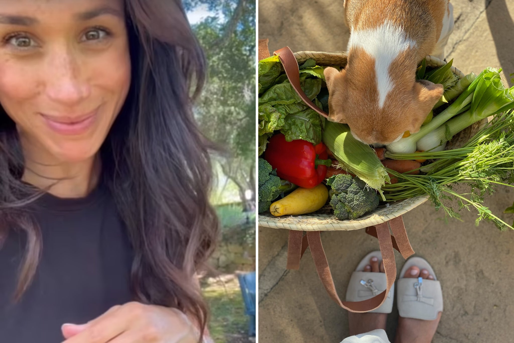 ‘If the content is inauthentic, it can leave a bad taste. But when Meghan’s garden bounty is so delicious, who cares whether she did or didn’t grow it?’
