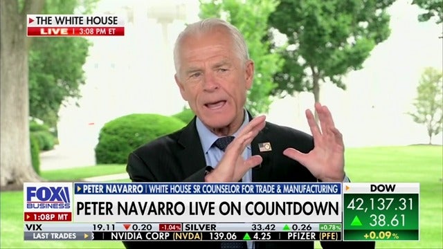 Trump trade adviser Peter Navarro rails against Karl Rove for saying the GOP could suffer in the midterms because of the president's tariff policies.