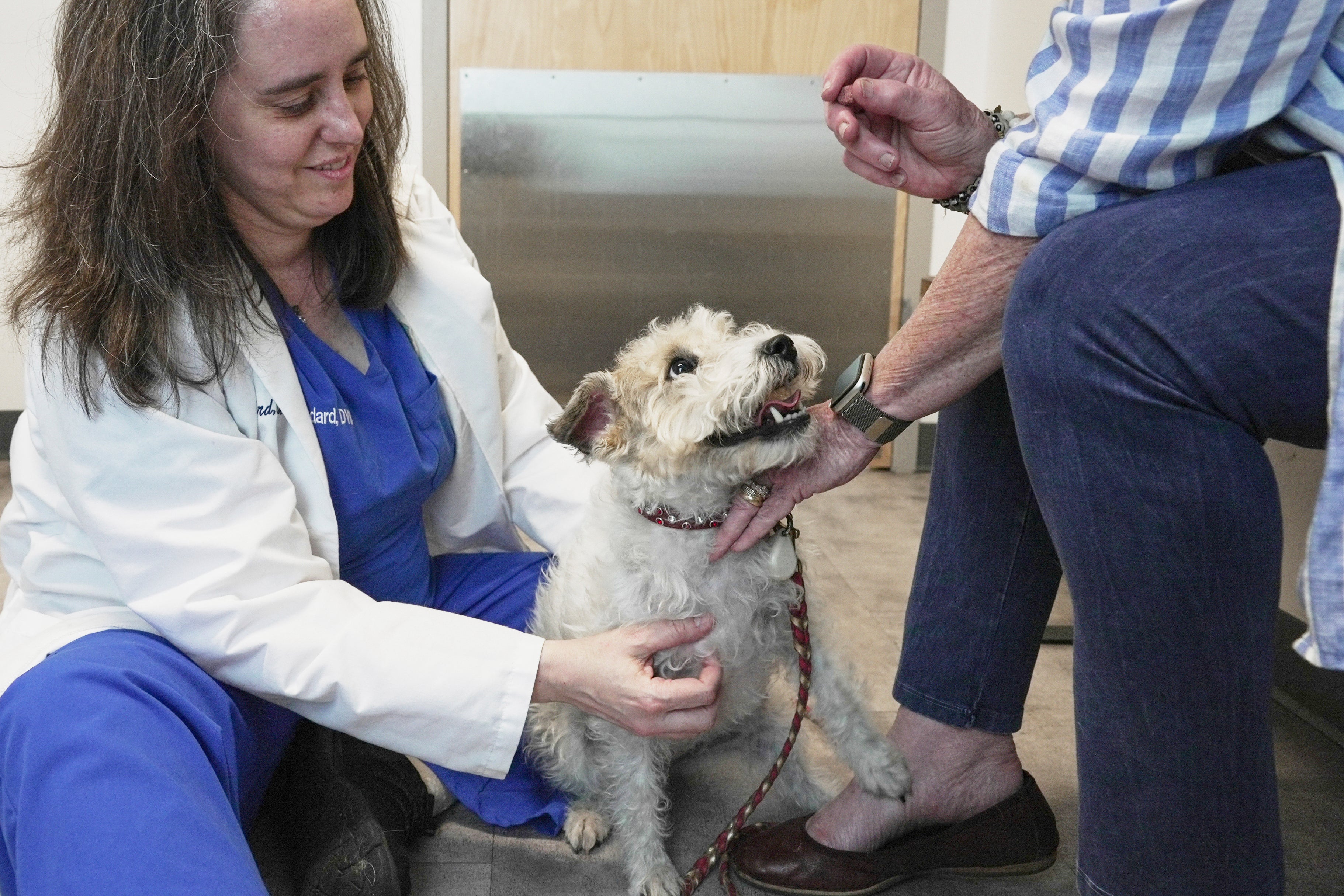 Dogs and cats can also suffer from allergies, but there are ways to help our furry friends
