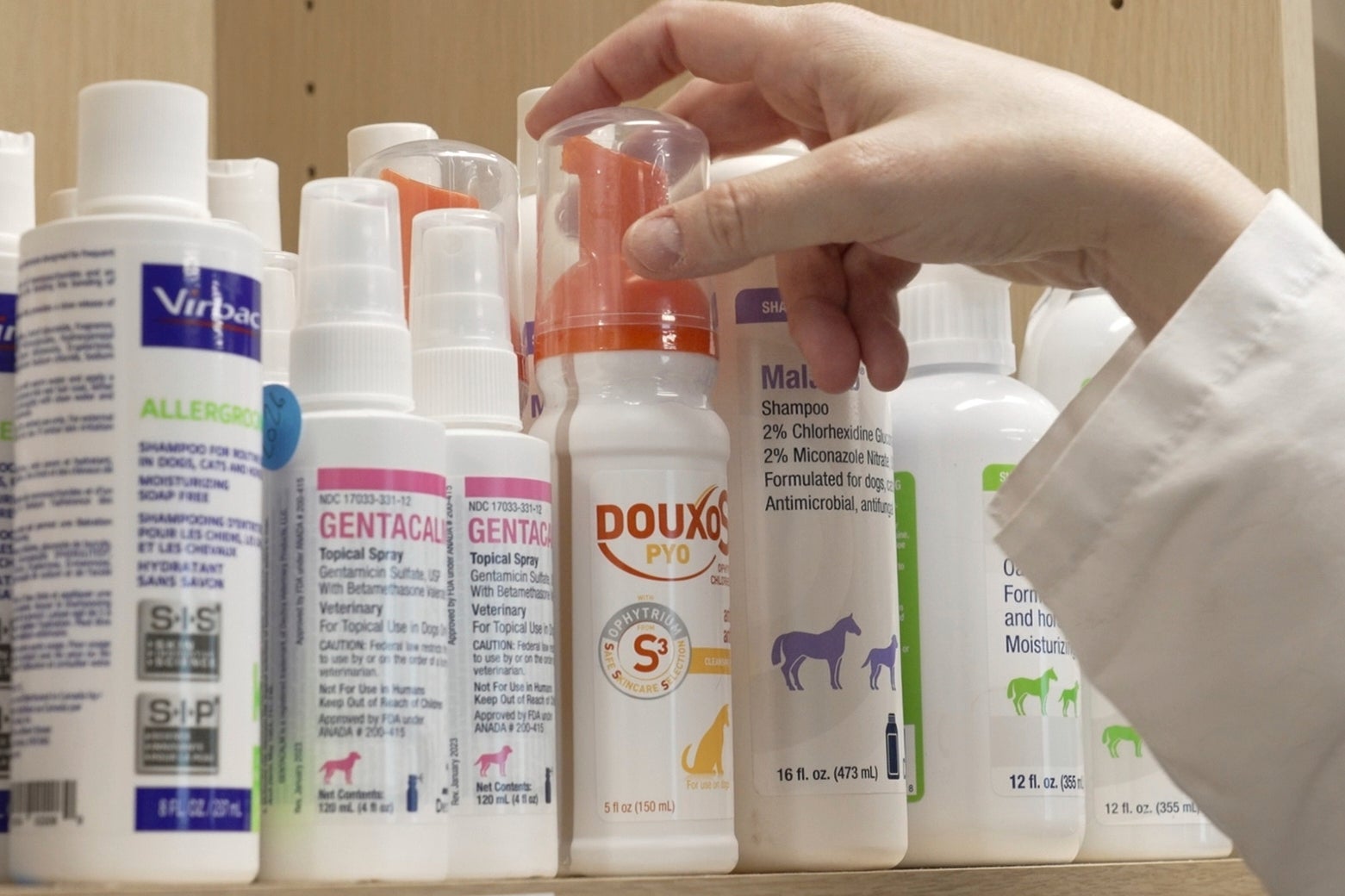 Be Well-Allergic Pets