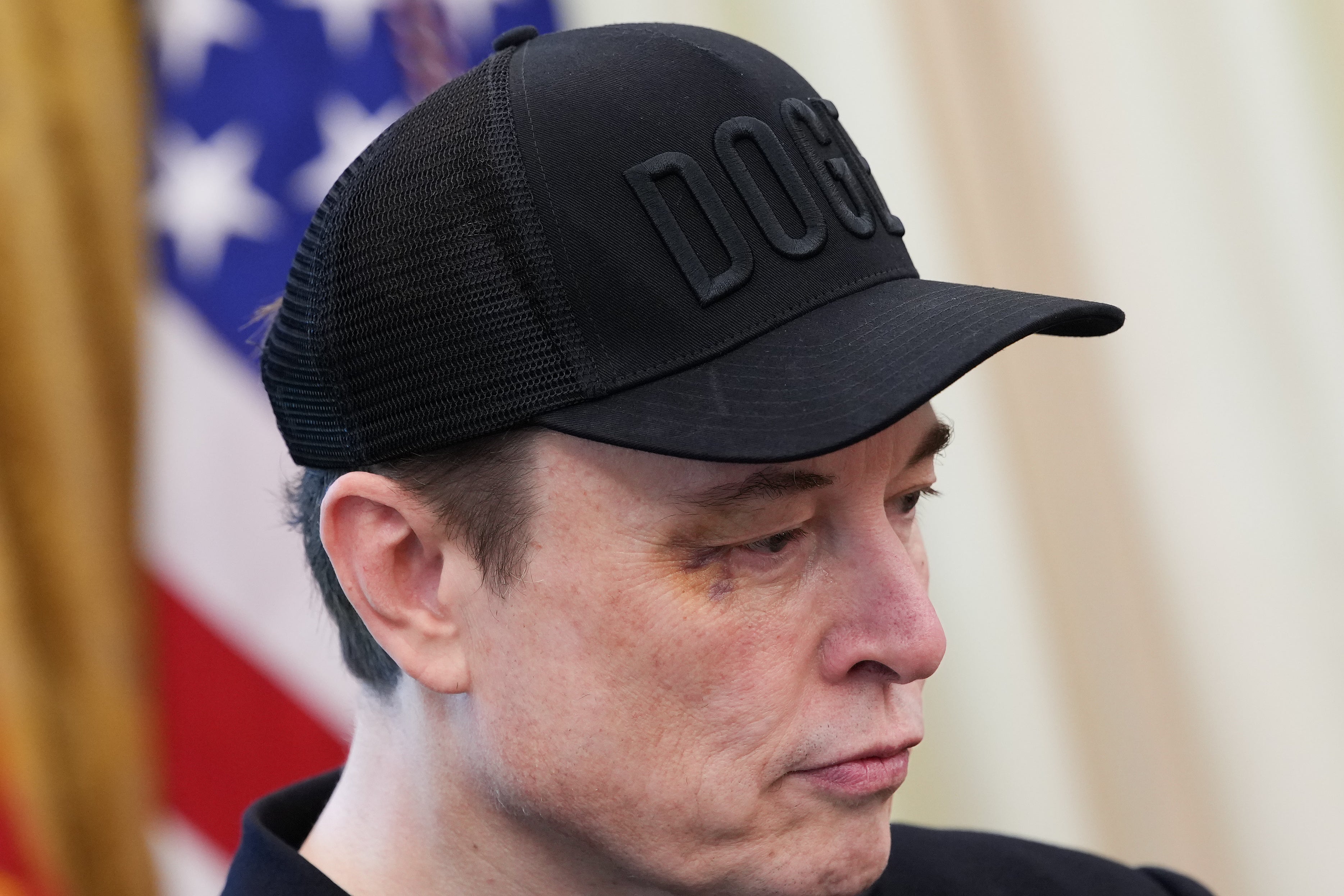 Elon Musk leaves a mess for Trump and Mike Johnson with DOGE exit
