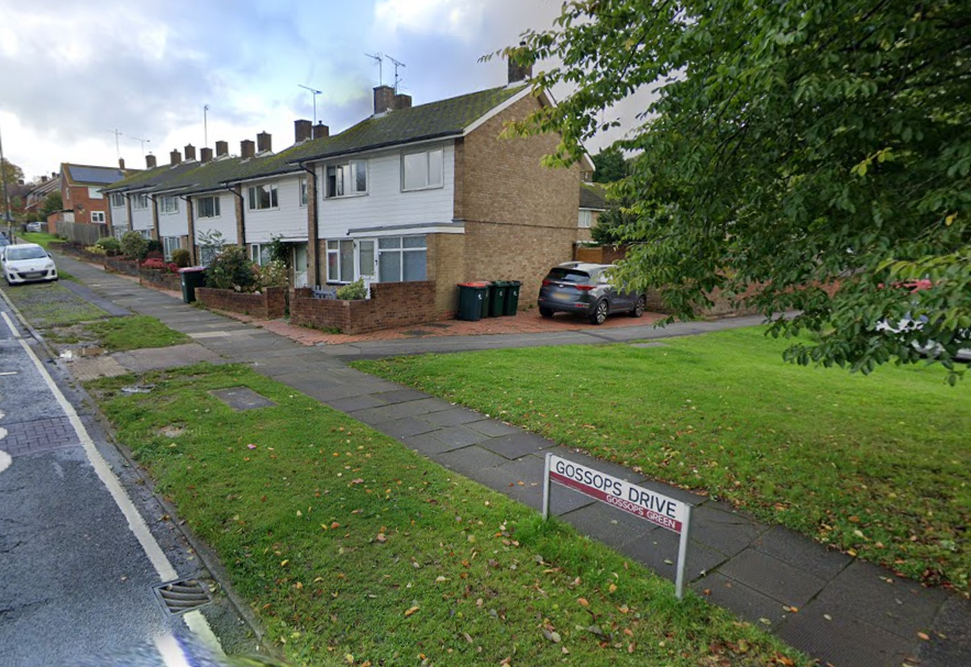 The incident took place on Gossops Drive in Crawley