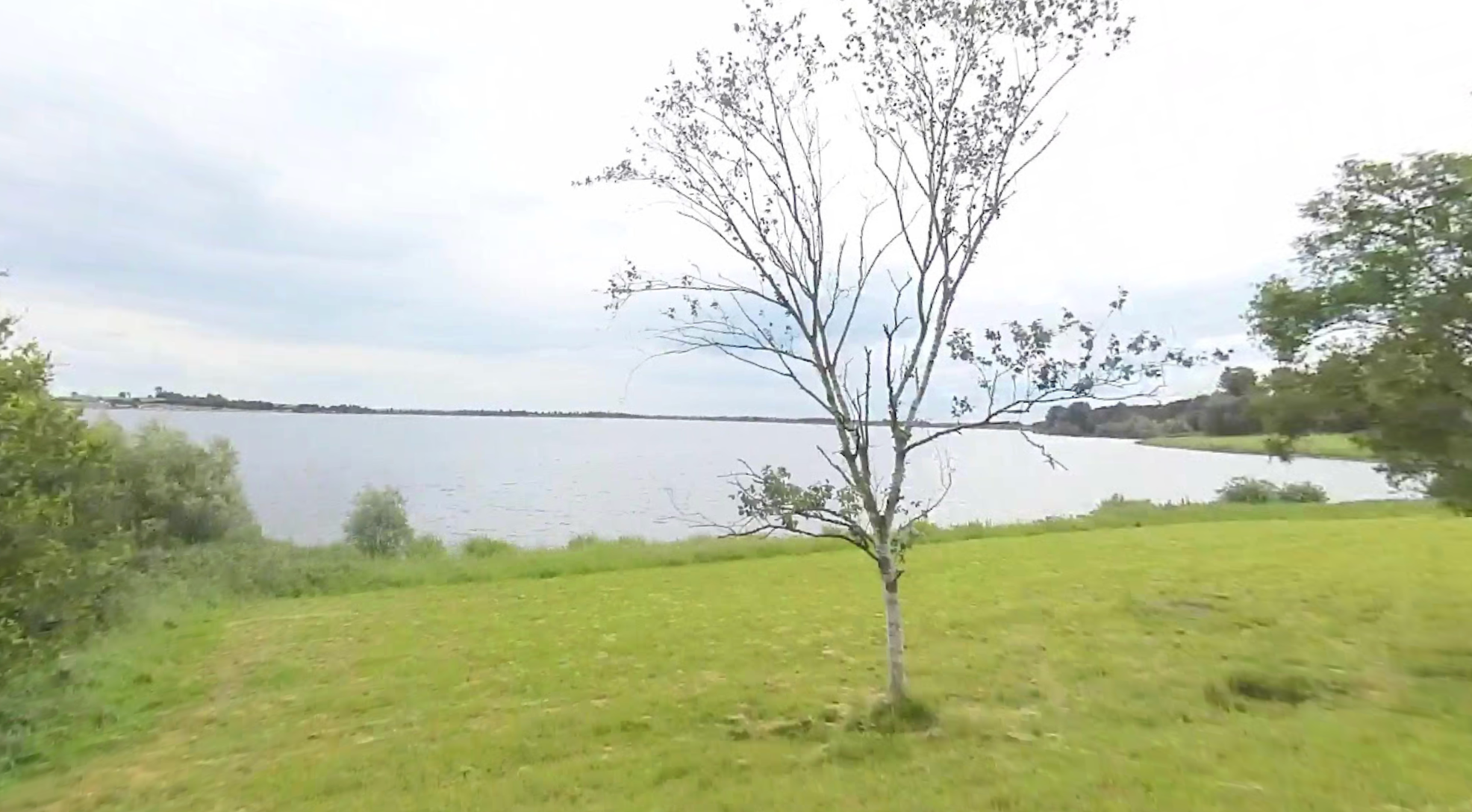 The pair fell into Draycote Water in Rugby, Warwickshire, on Thursday afternoon