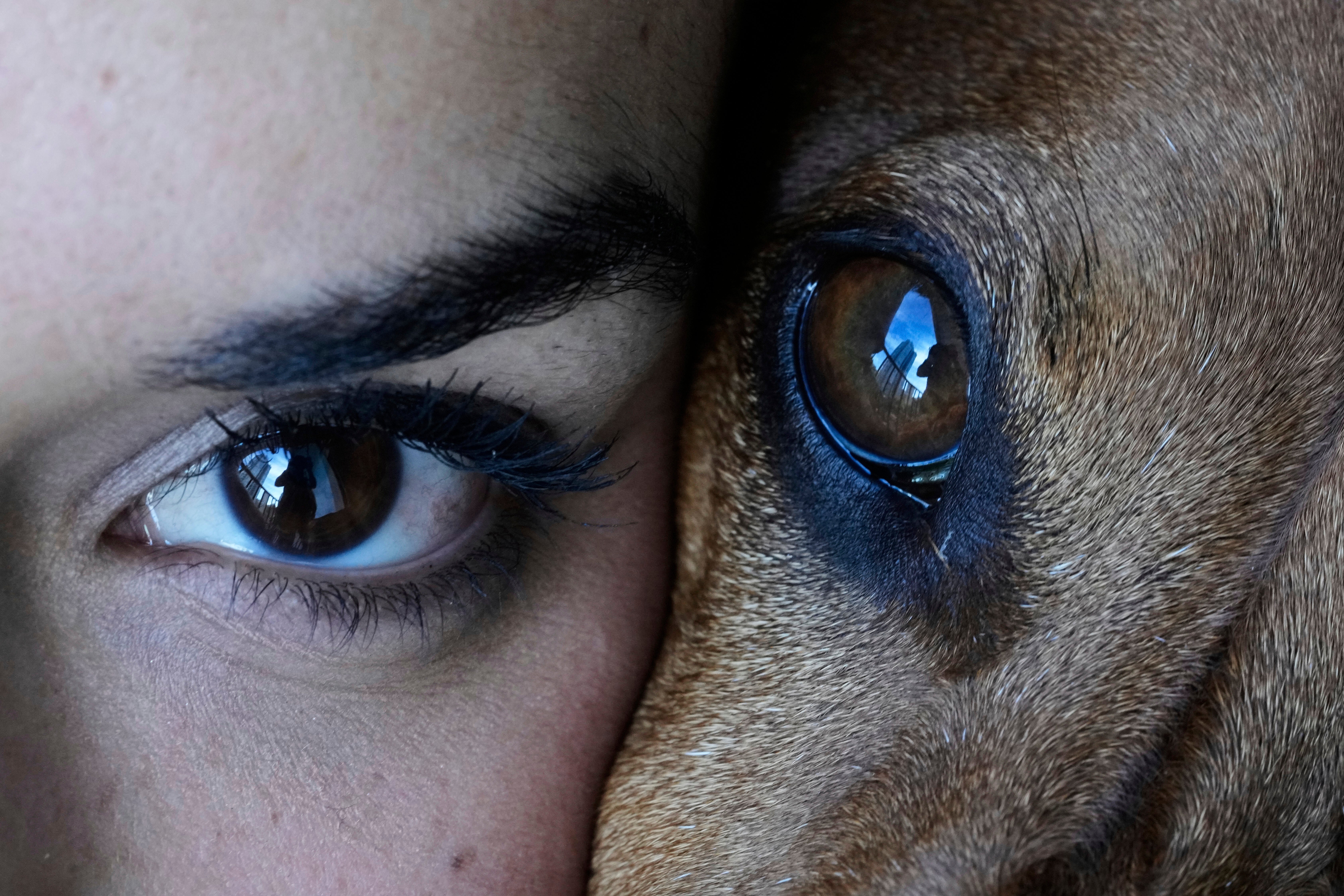 AP Top Photos of the Month May 2025