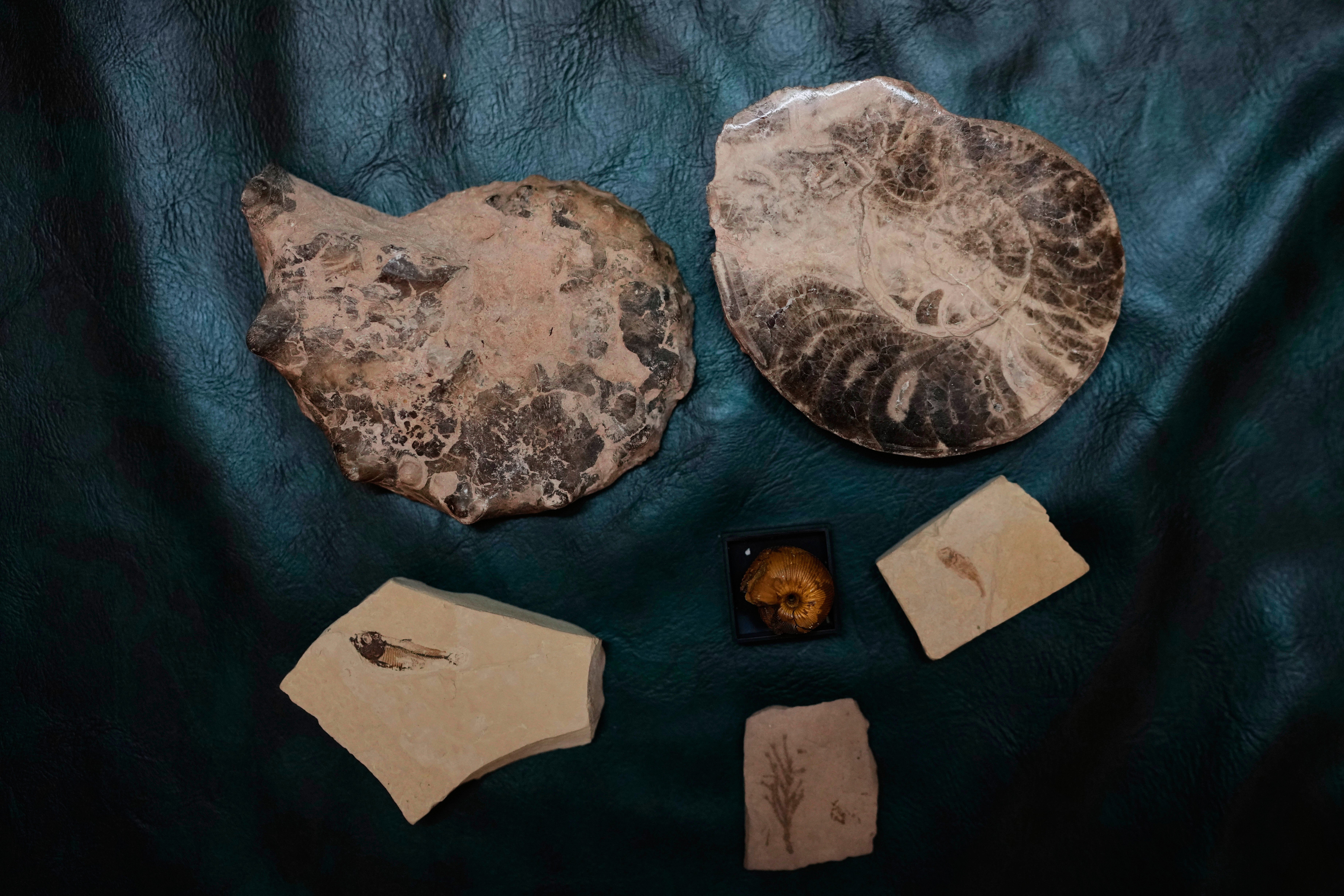 India Artifacts Collector