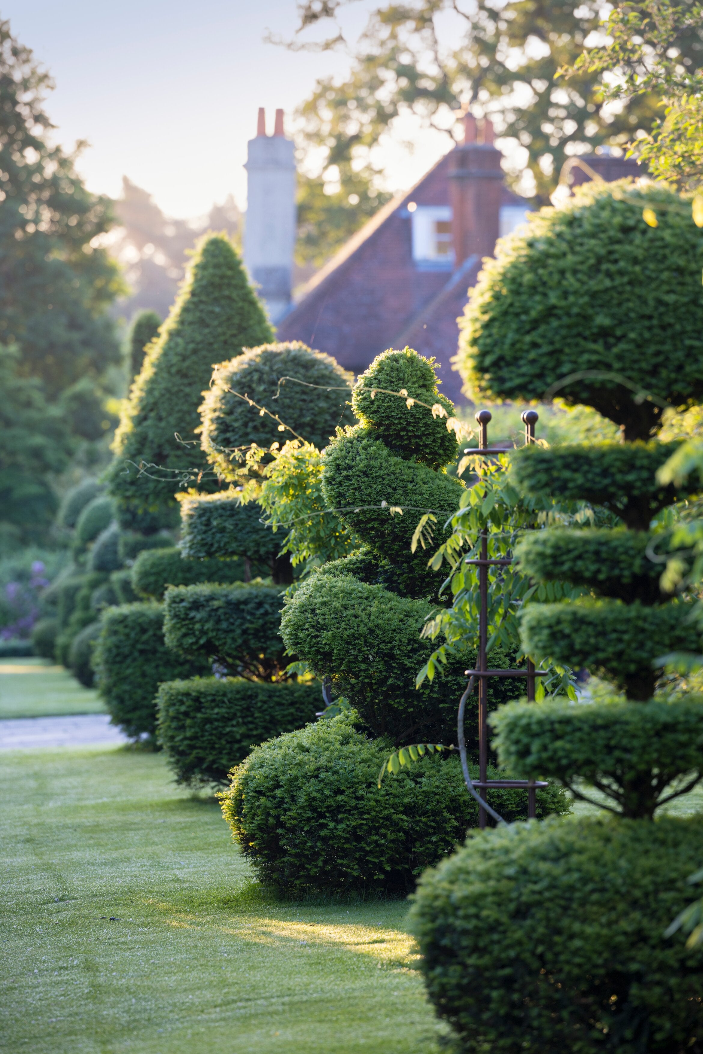 Topiary at RHS Garden Wisley