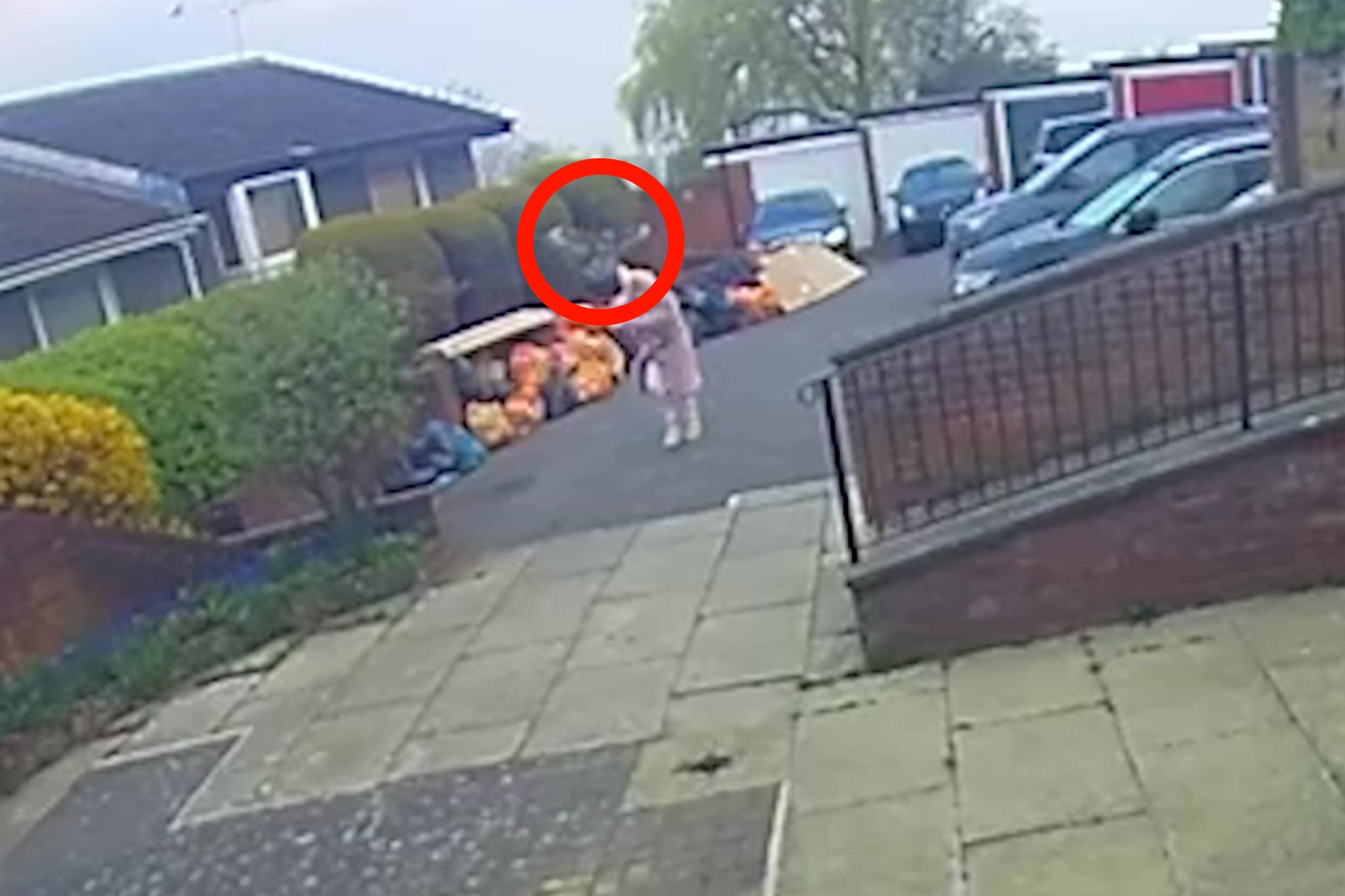 Louise Whittle ran away from the menacing bird after it swooped down on her head