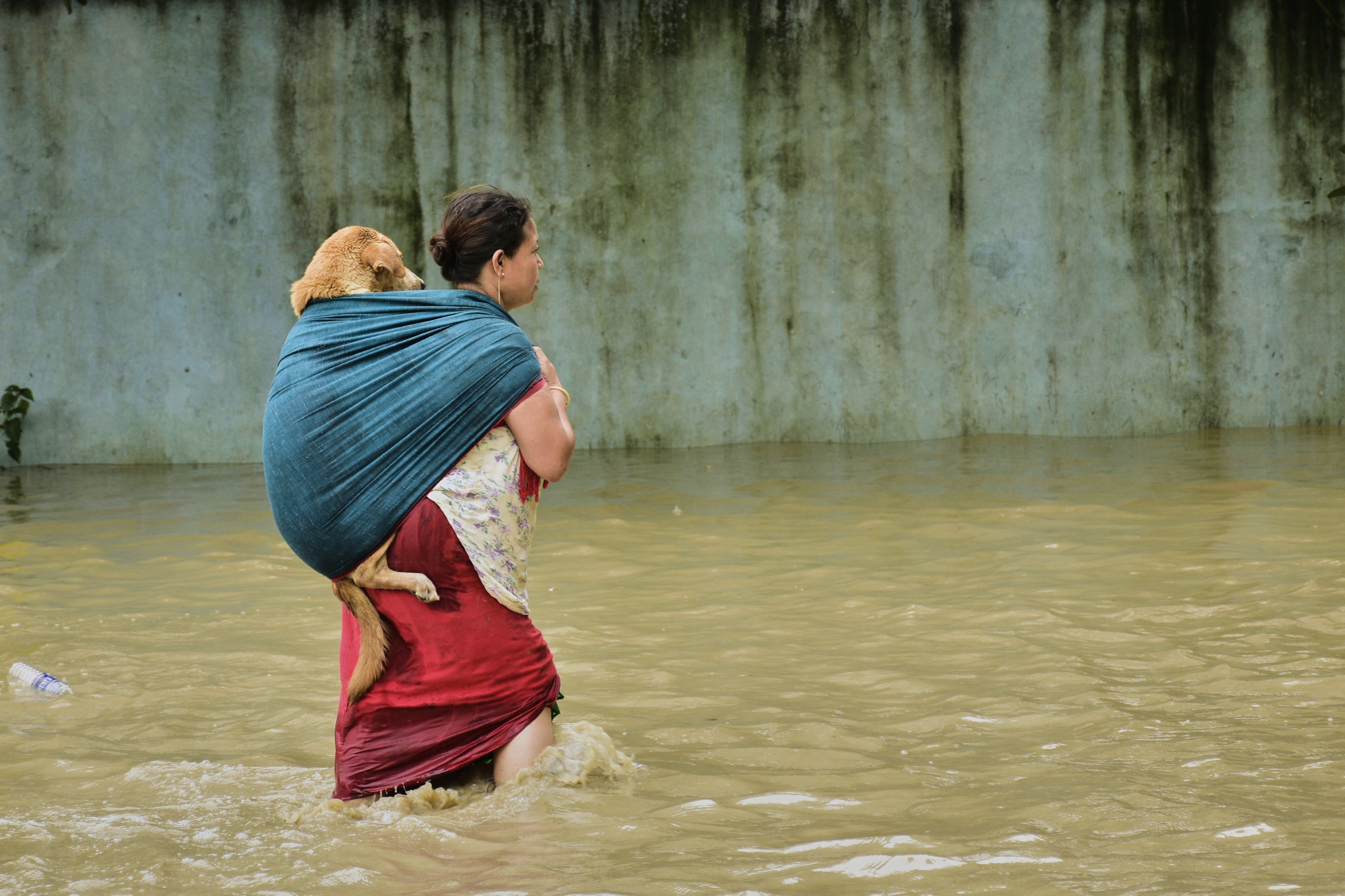 India Monsoon Floods