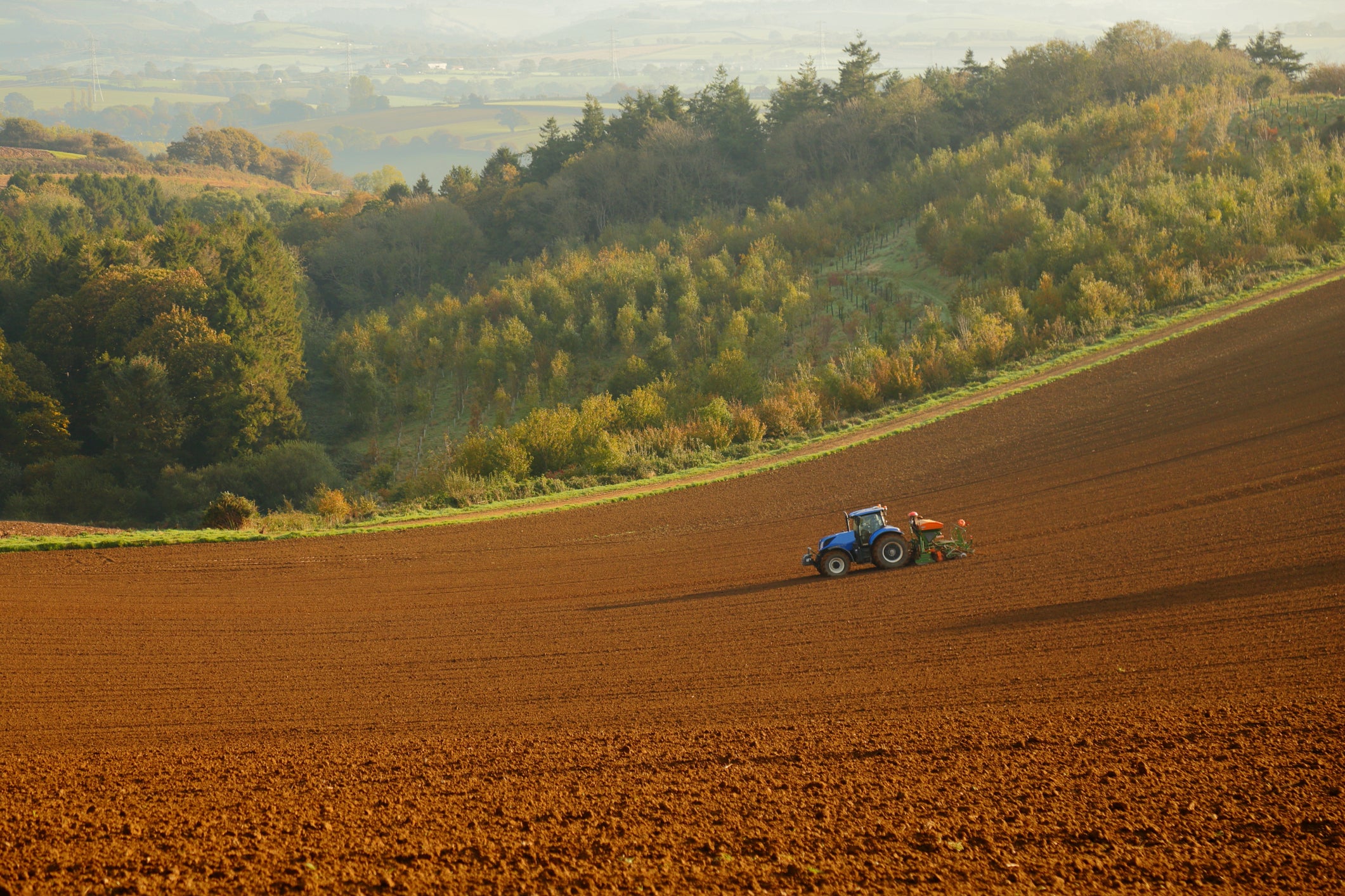 The National Farmers Unions say cheaper US food entering the UK market could be a “disaster” for British farming.