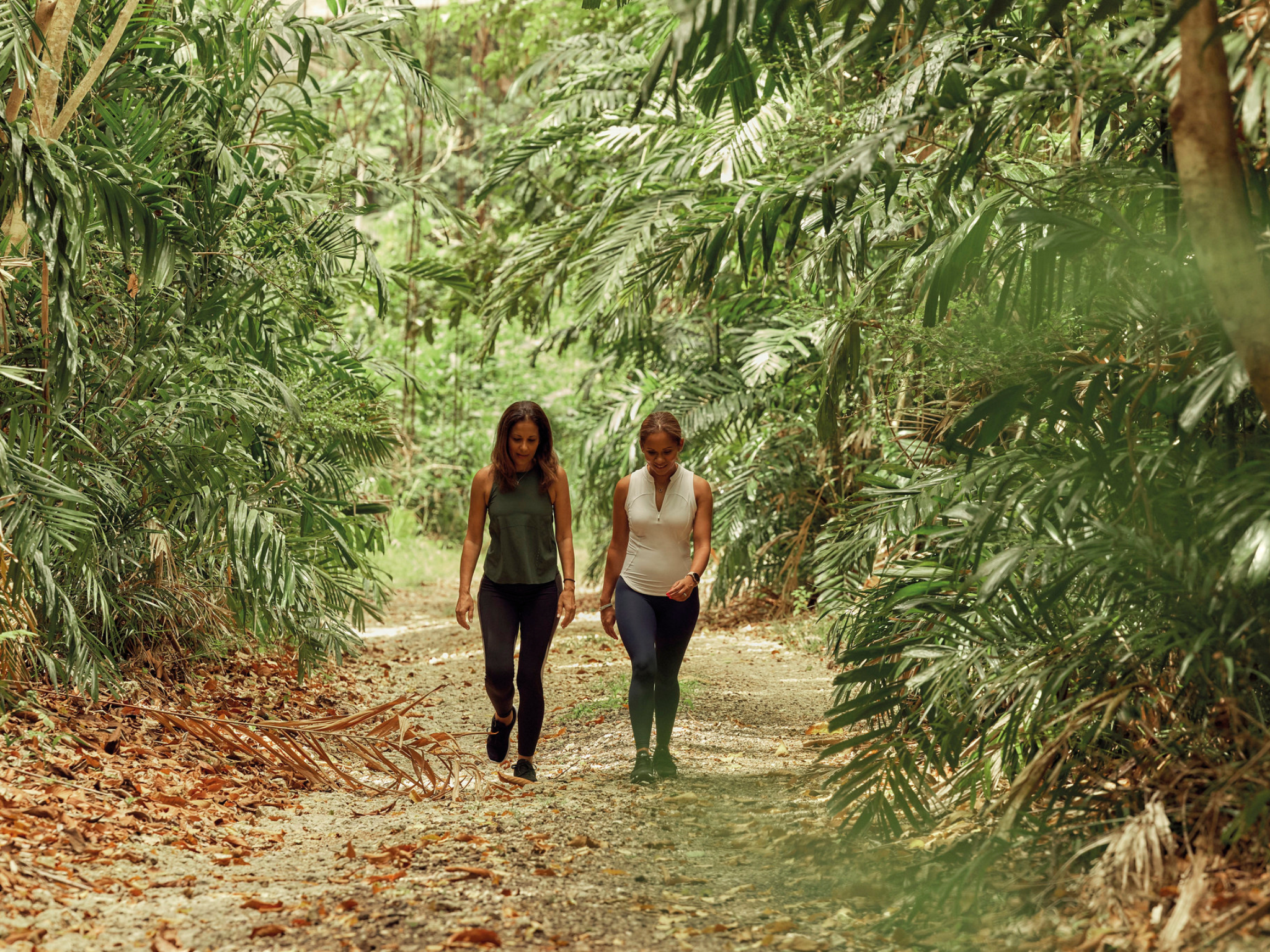 A hike through the island's lush gullies is highly recommended