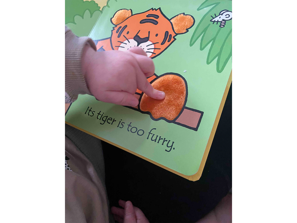 ‘That’s not My… Zoo’, written by Fiona Watt, illustrated by Rachel Wells, published by Usborne  