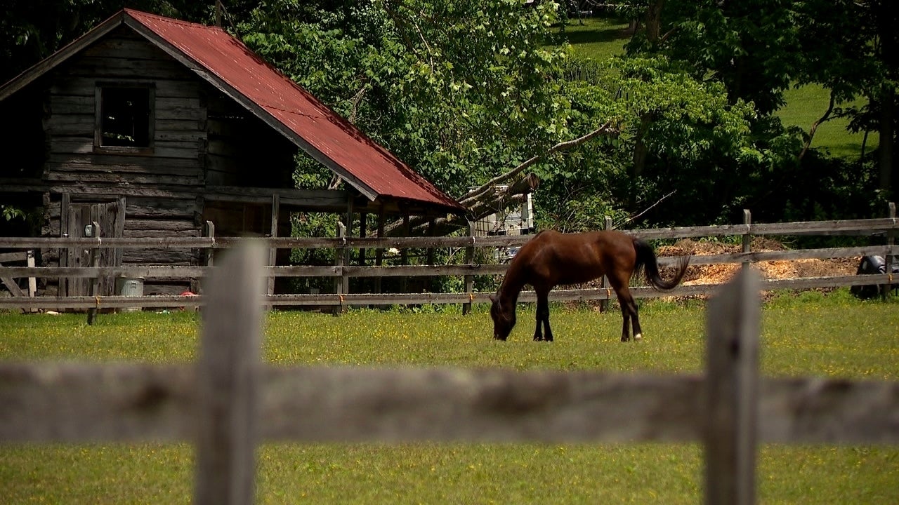 Therapy School Closes
