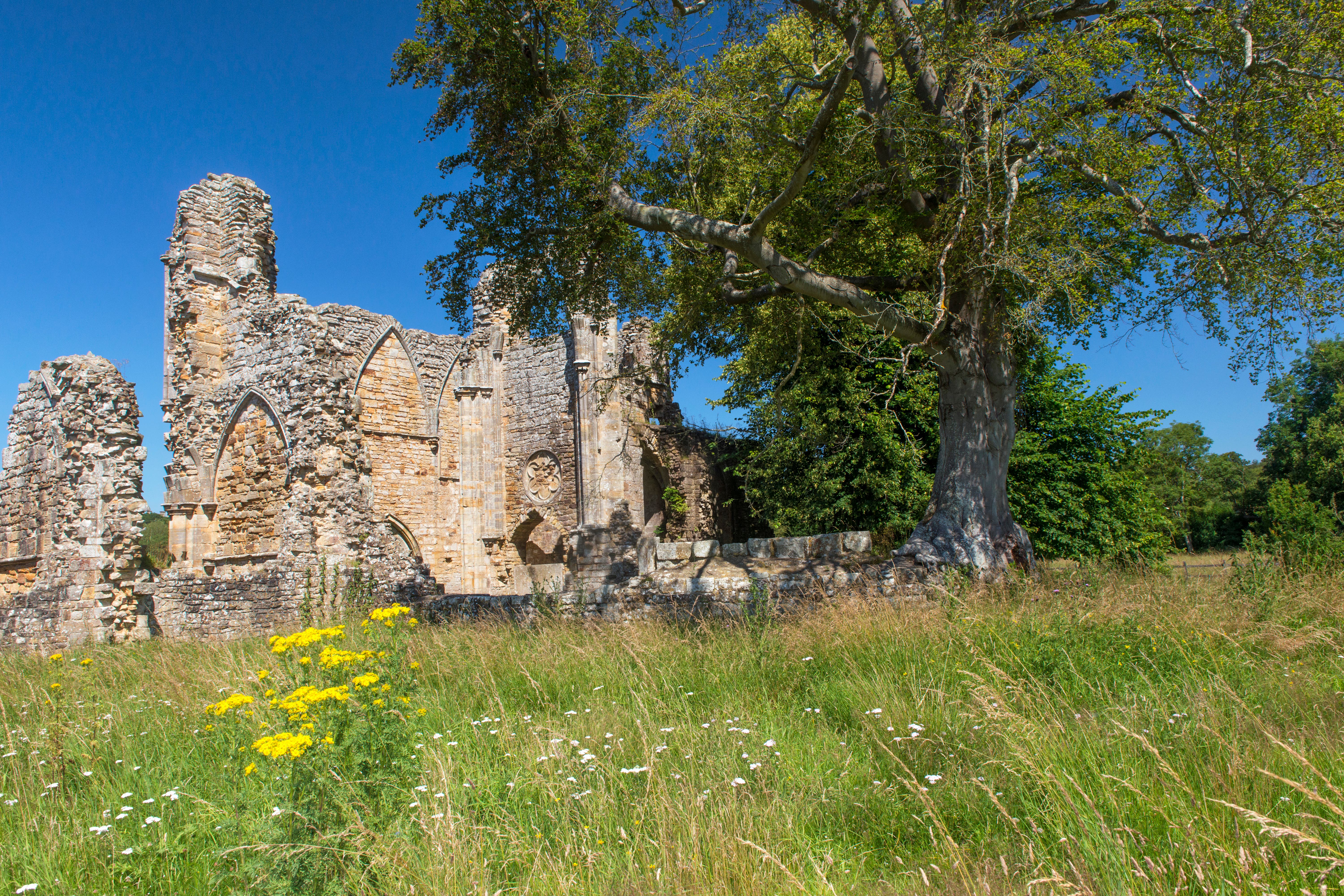 Bayham Abbey, near Tunbridge Wells in Kent (English Heritage/PA)
