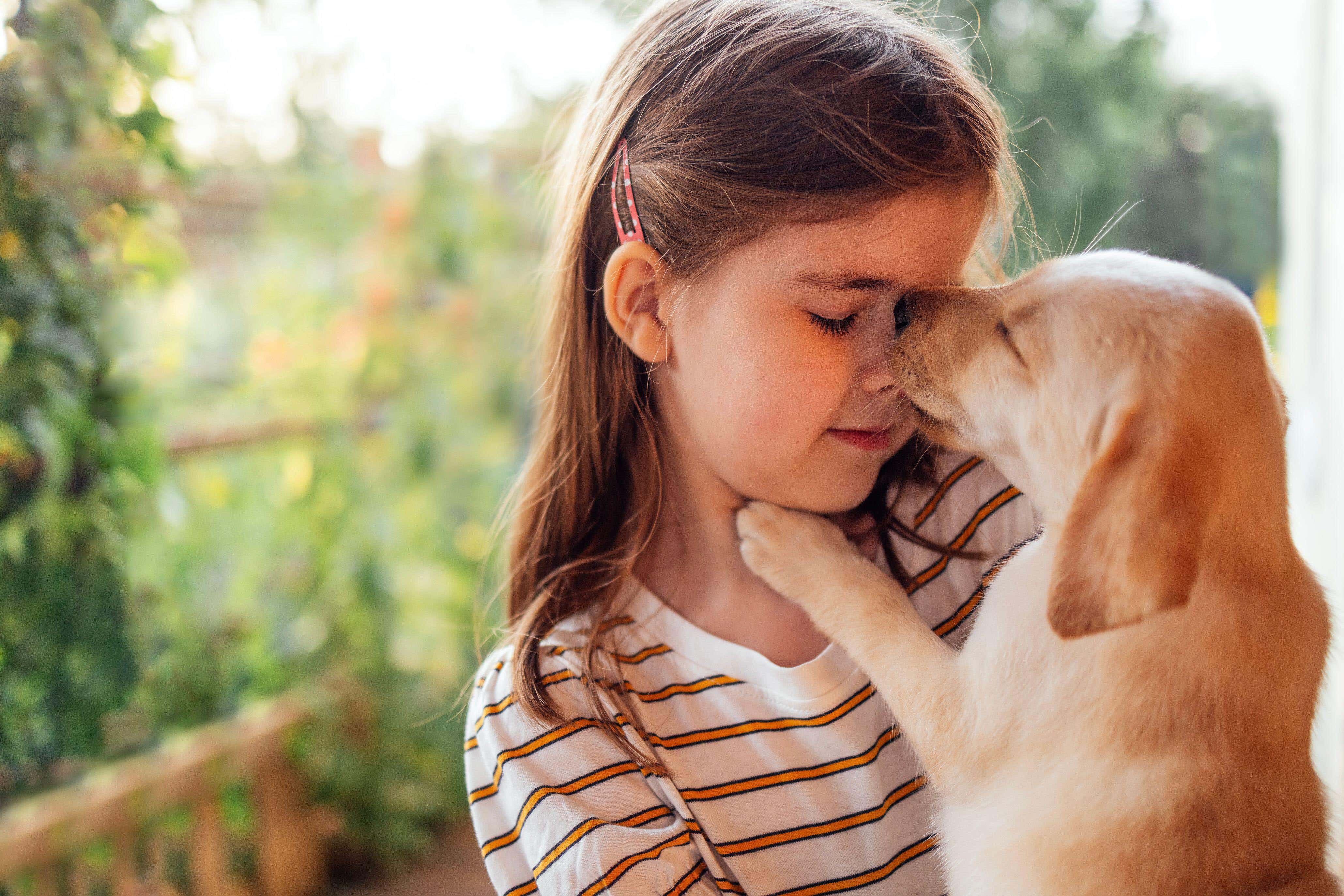 Pet dogs could combat eczema risk in children genetically predisposed to the condition, according to a new study (Alamy/PA)